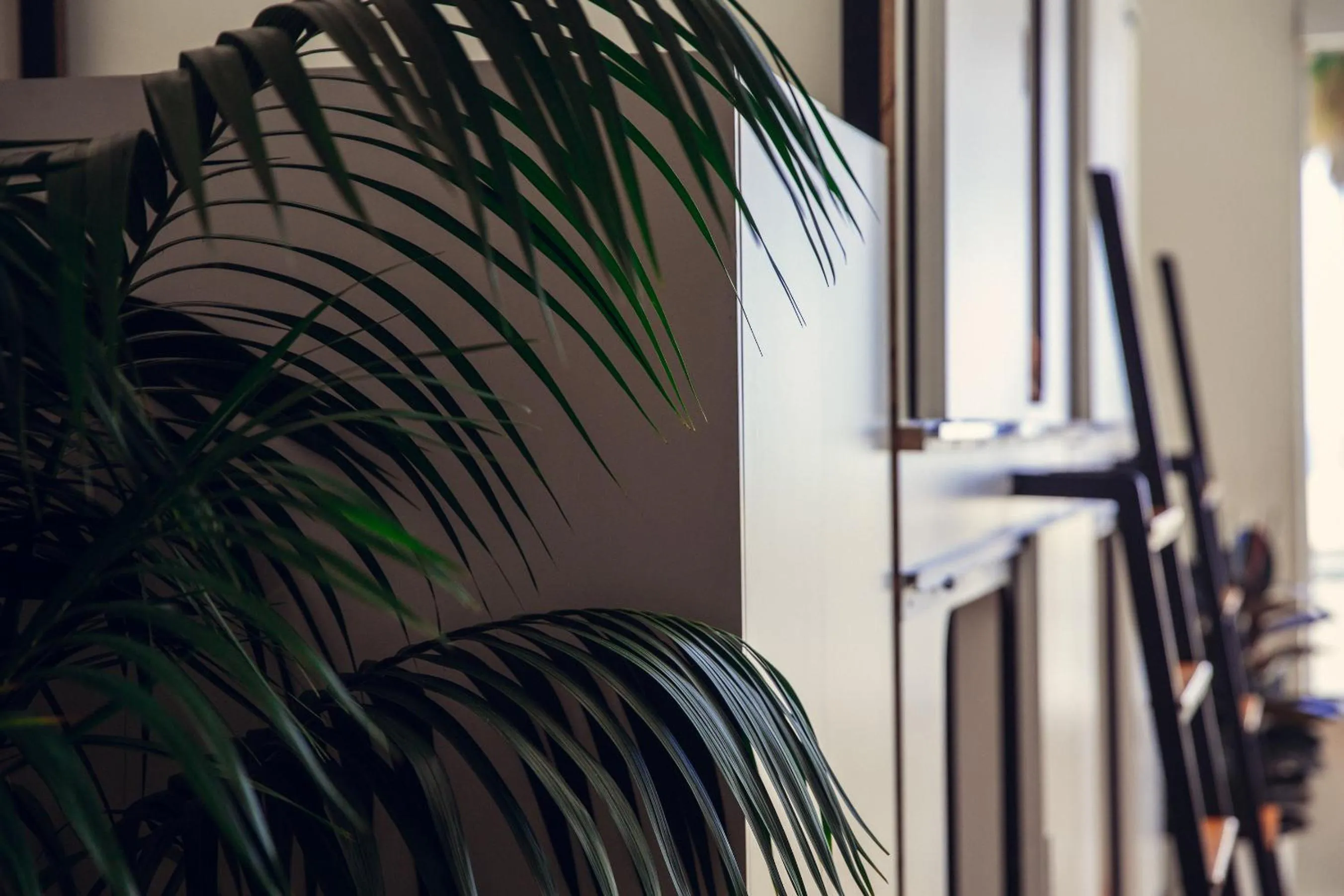 Property building in STAY OPEN Venice Beach