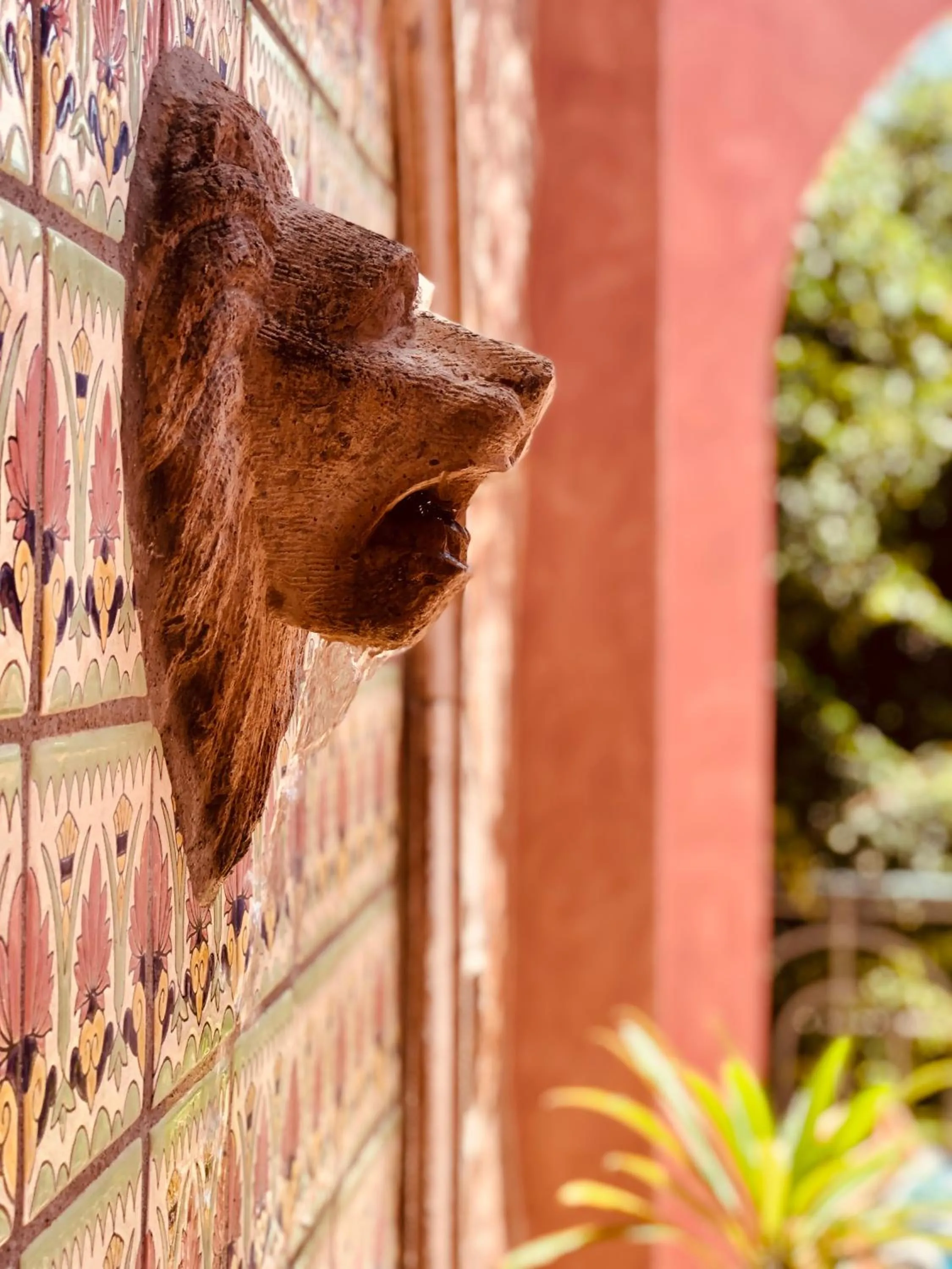 Garden in Casa Bella Verde- stunning apartment in the center of town