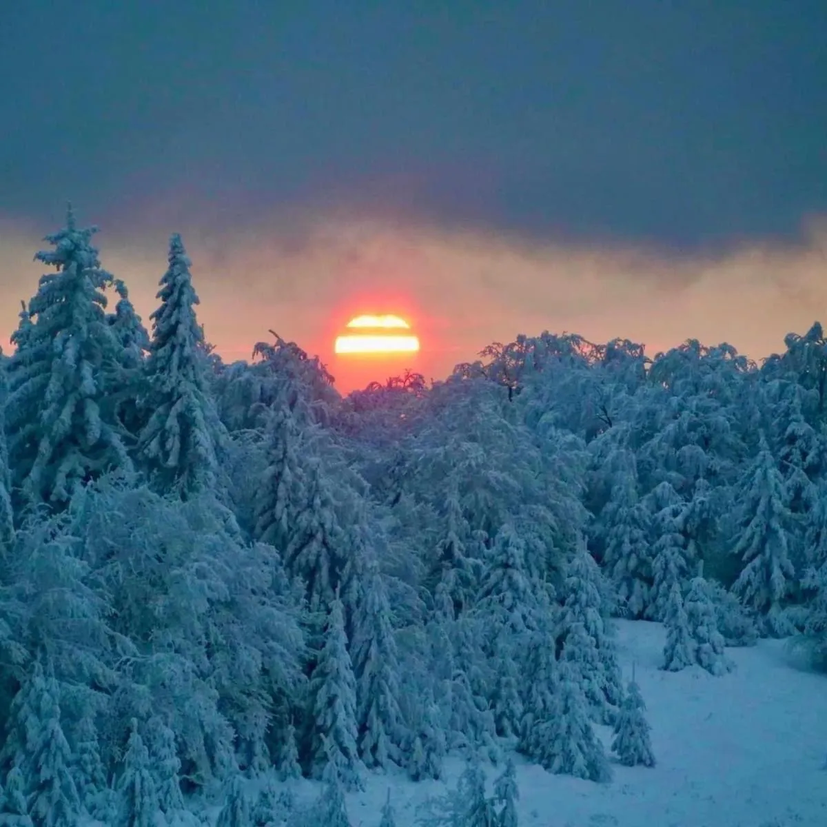 Horský Hotel Podjavorník
