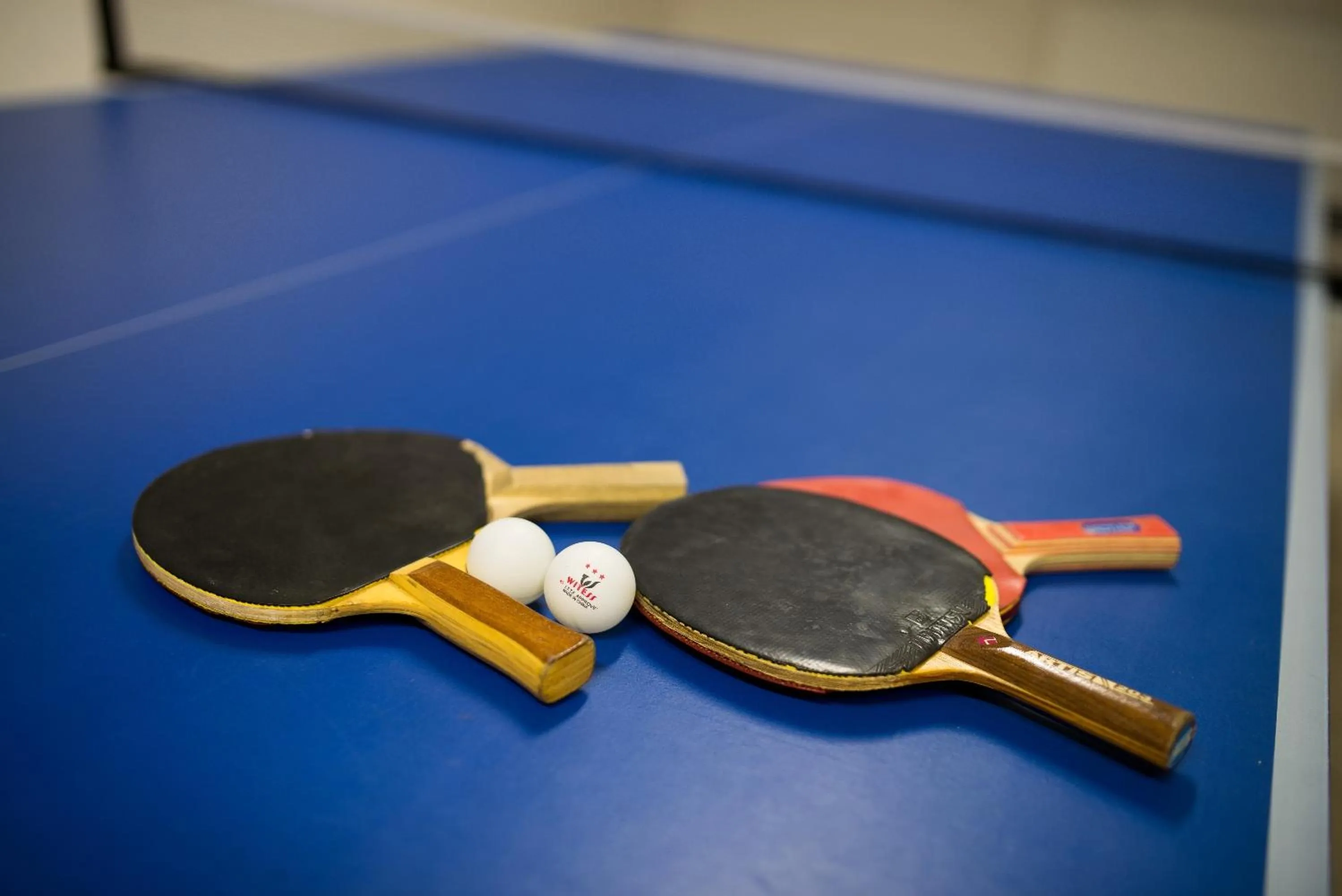Table tennis in Horský Hotel Podjavorník