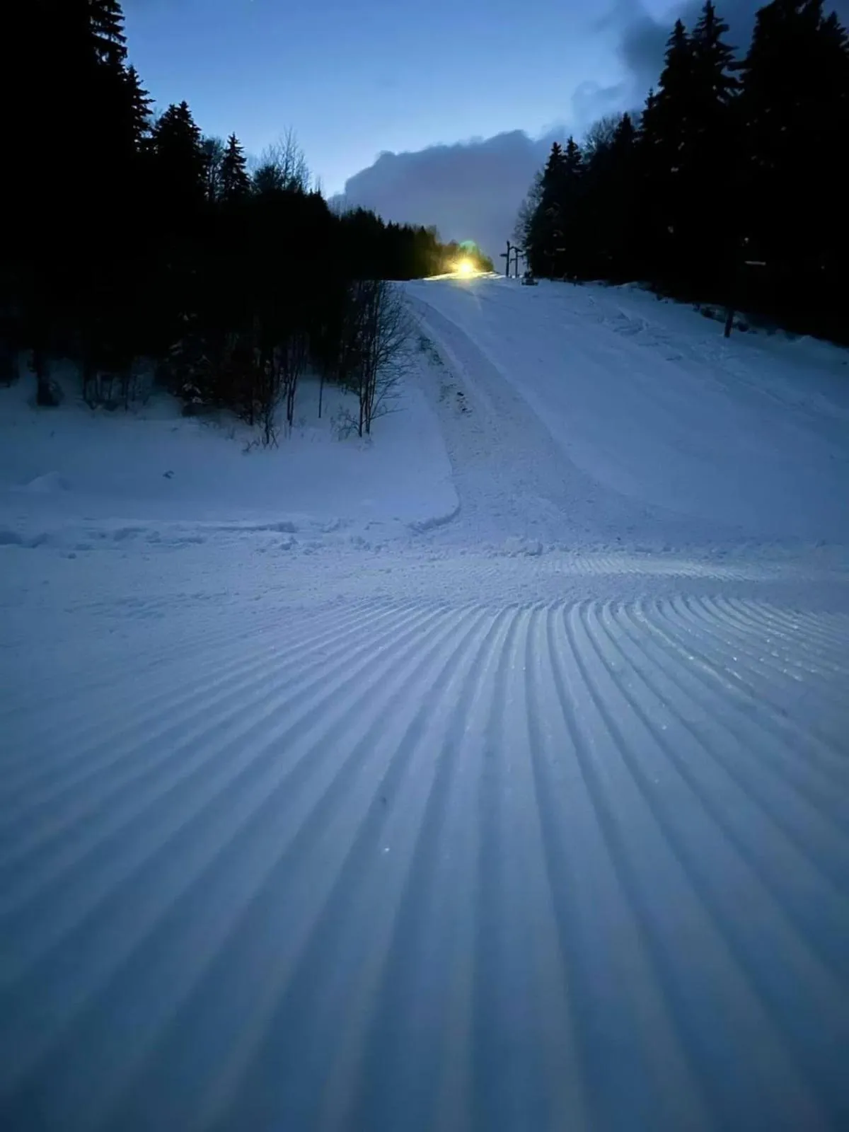 Horský Hotel Podjavorník