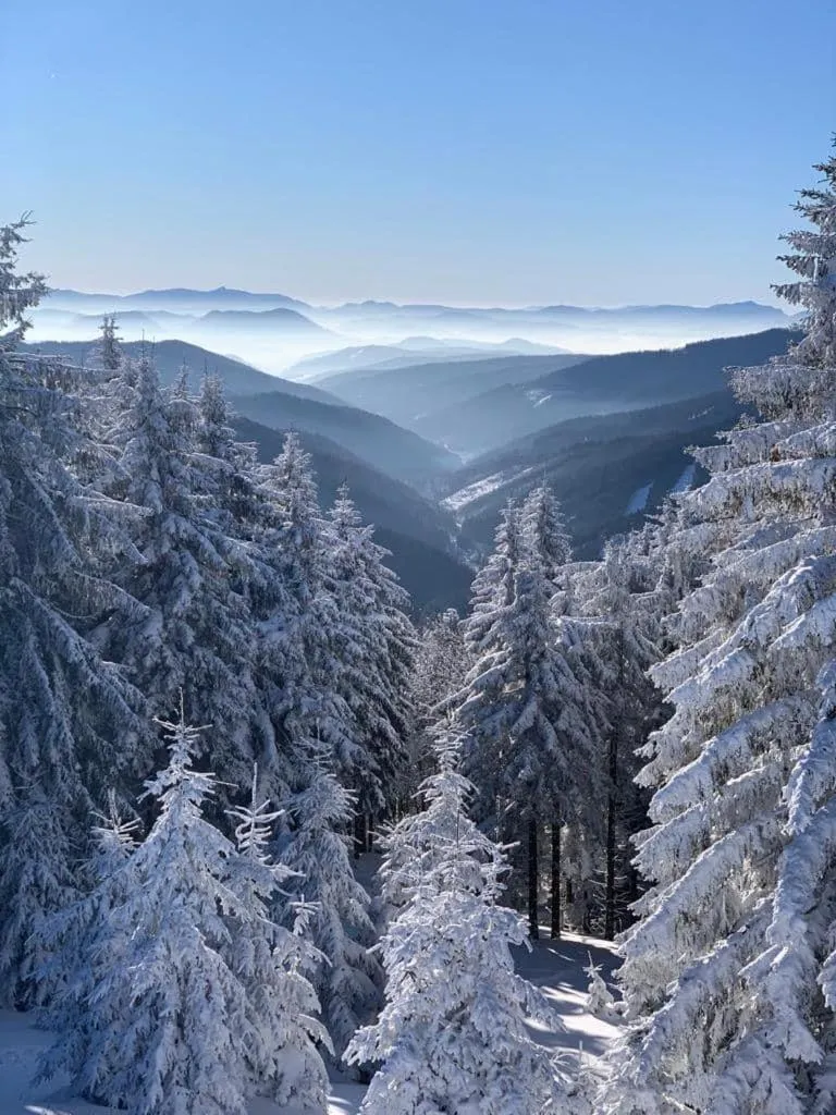 Horský Hotel Podjavorník