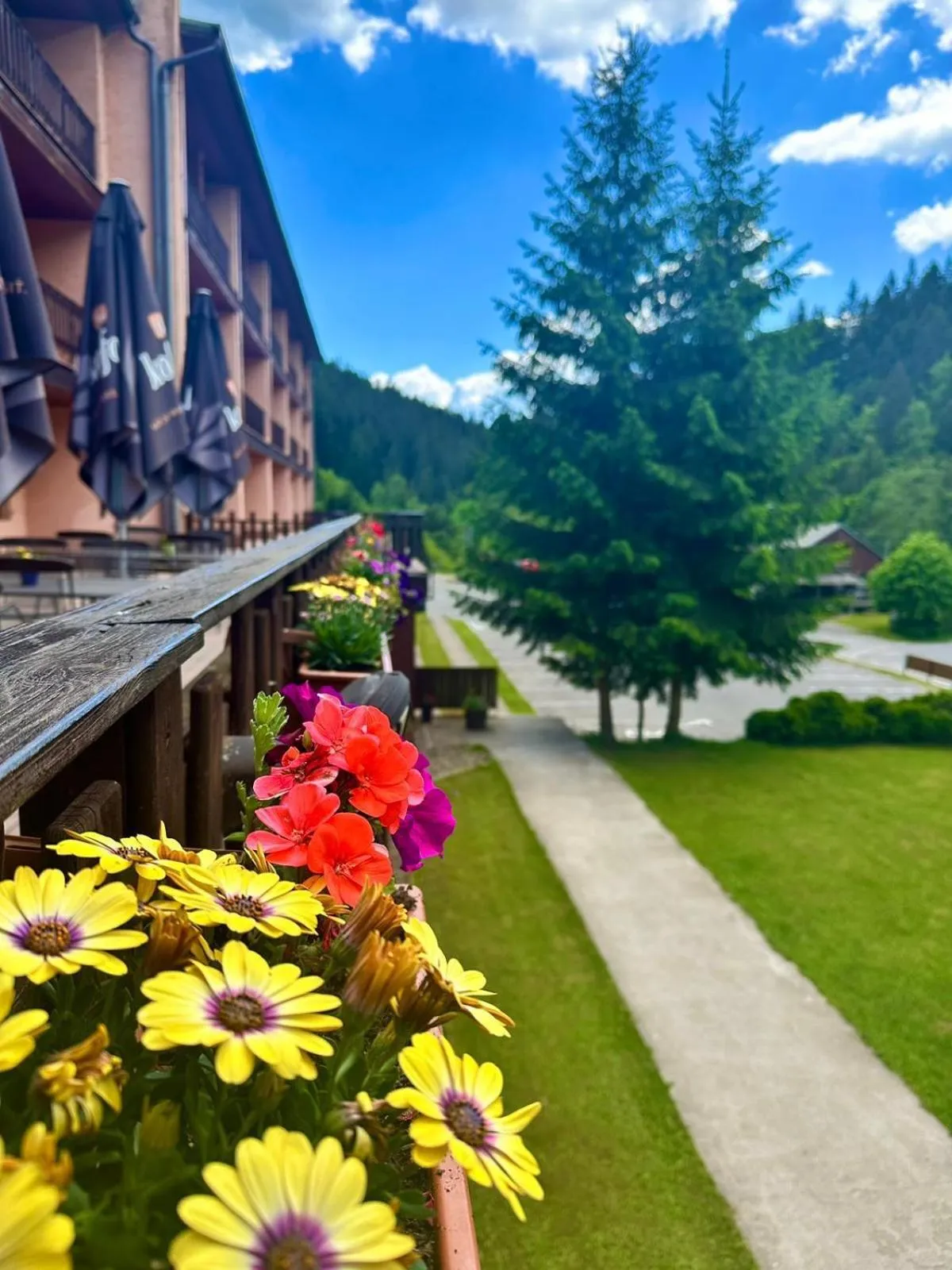 Horský Hotel Podjavorník