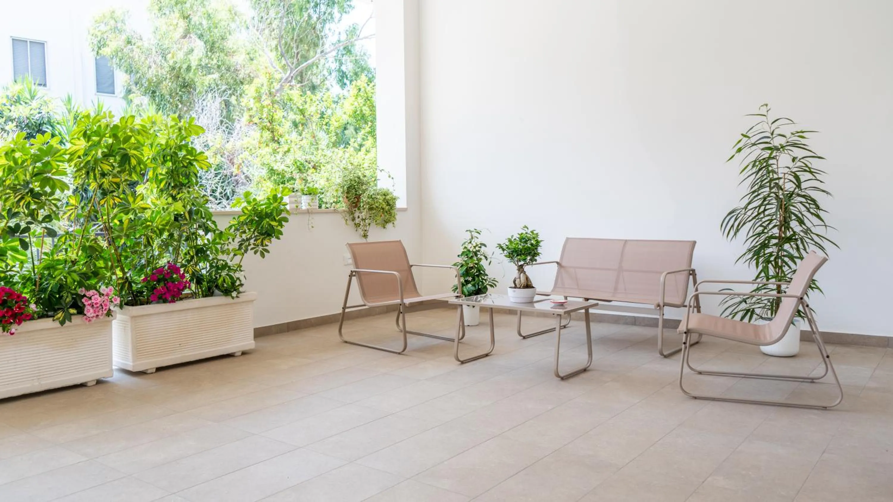 Balcony/Terrace in Hotel Diana