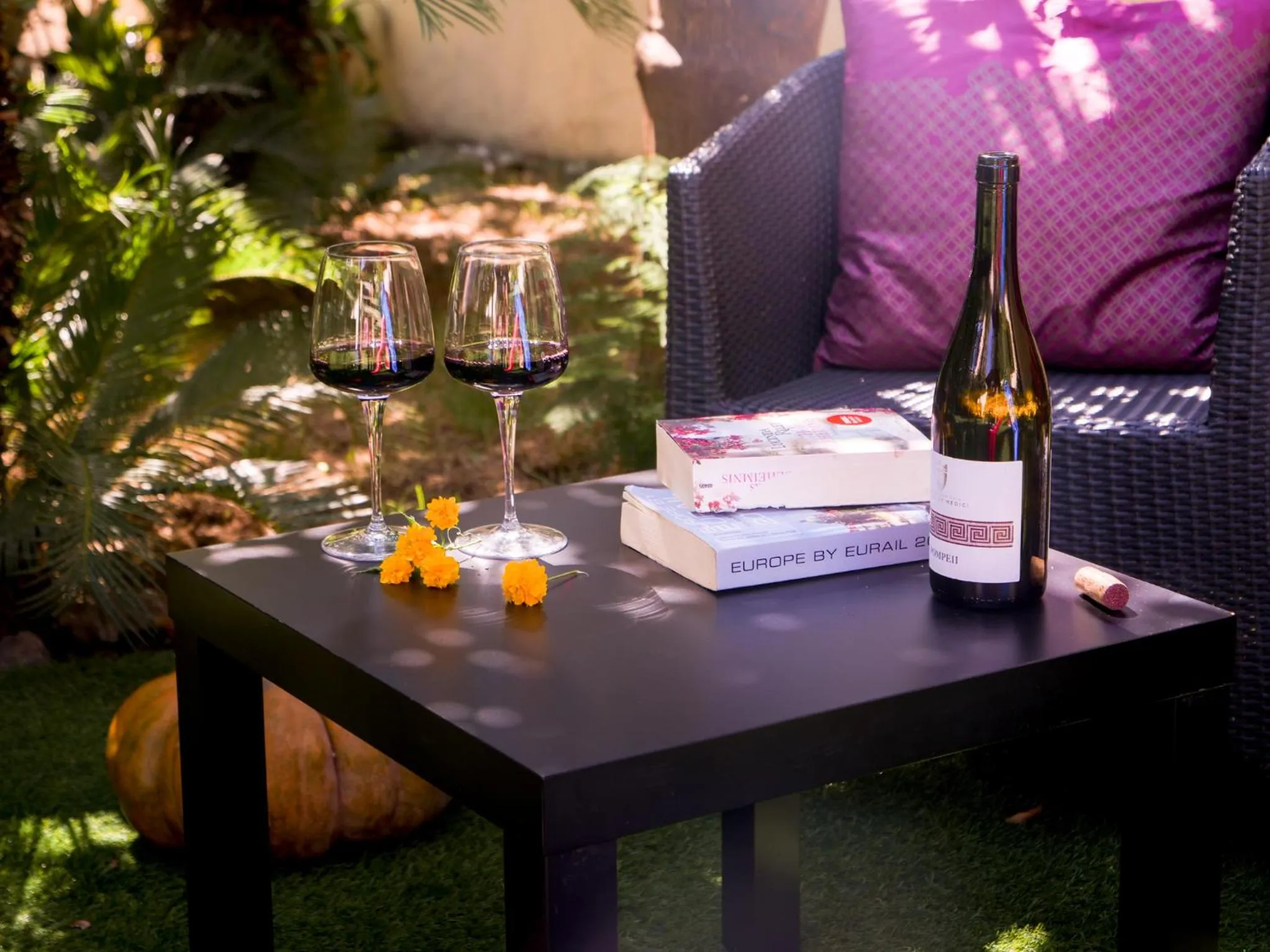 Garden in Hotel Diana