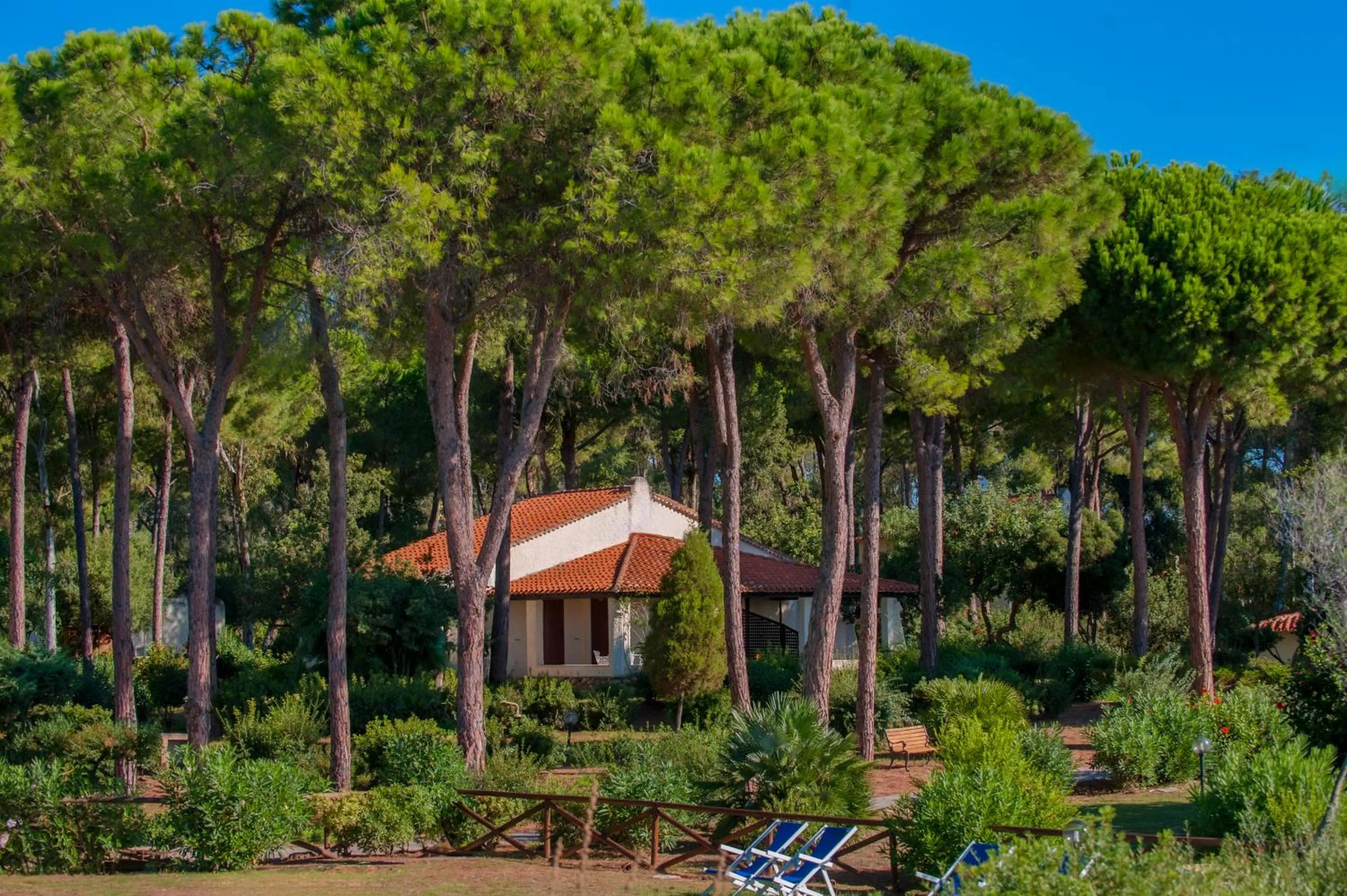 Natural landscape in Luna Sardinia