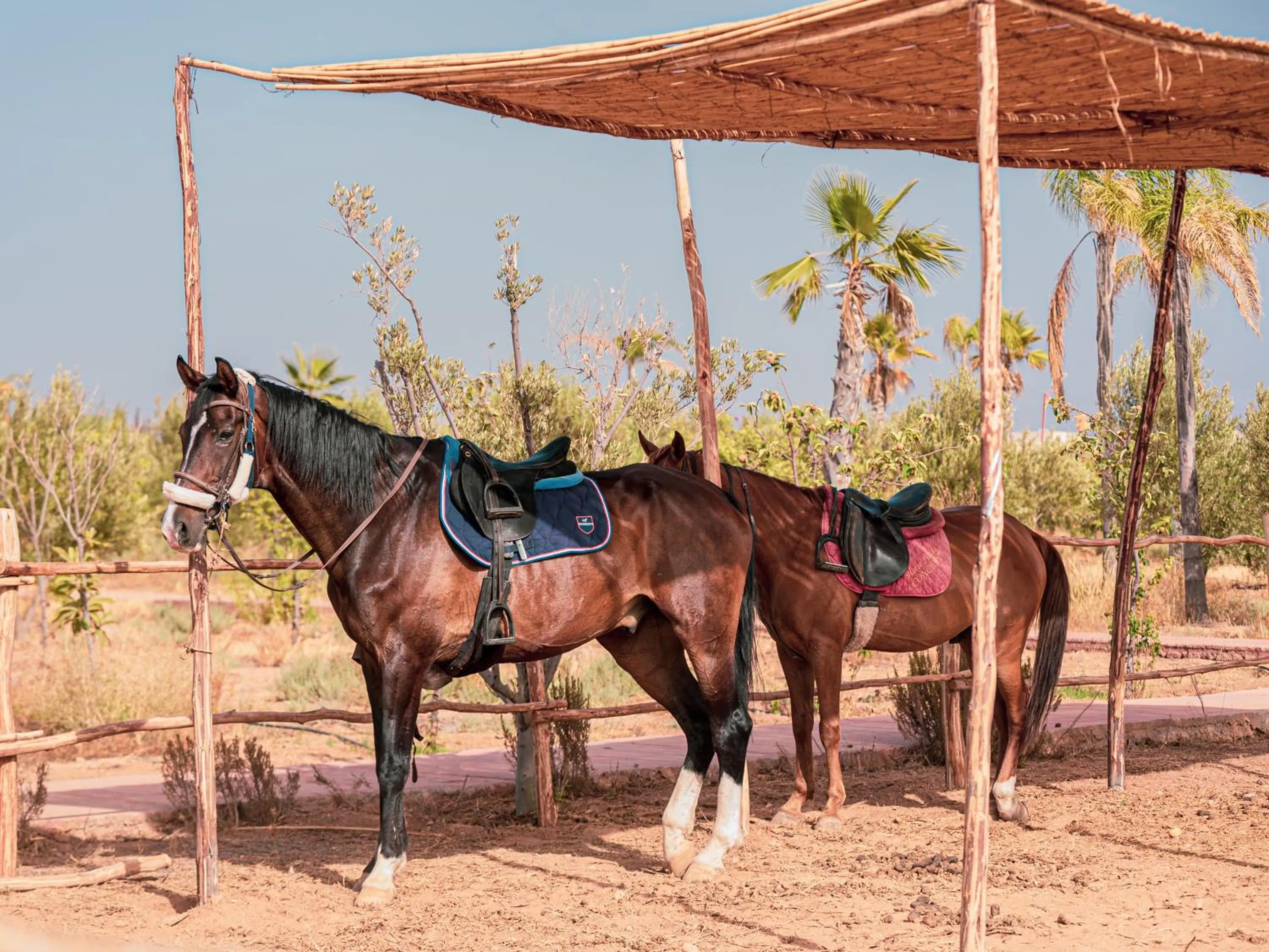 SUMAHAN SUITES & SPA