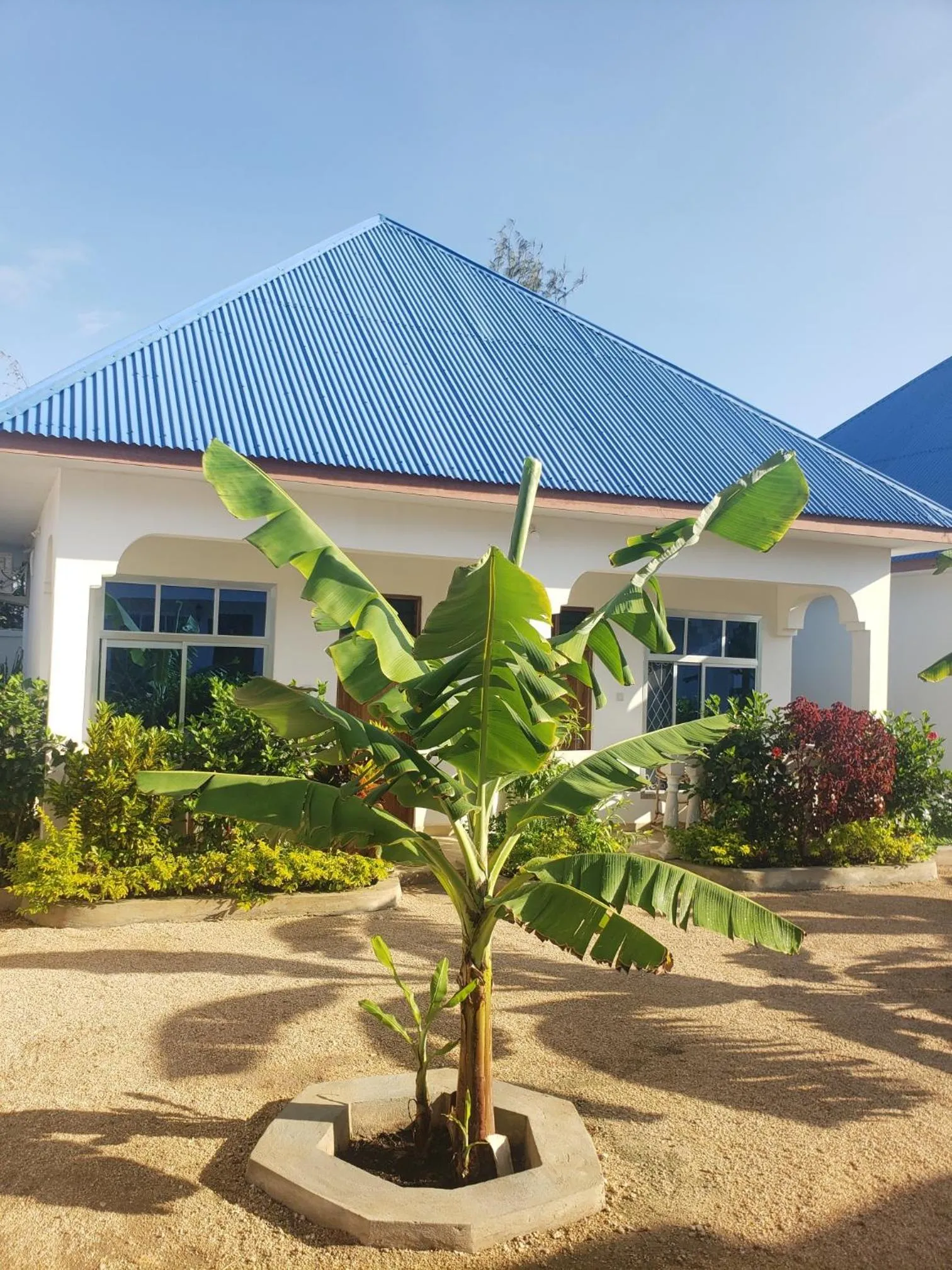 Garden in Serenity Boutique Hotel, Tanzania Unforgettable