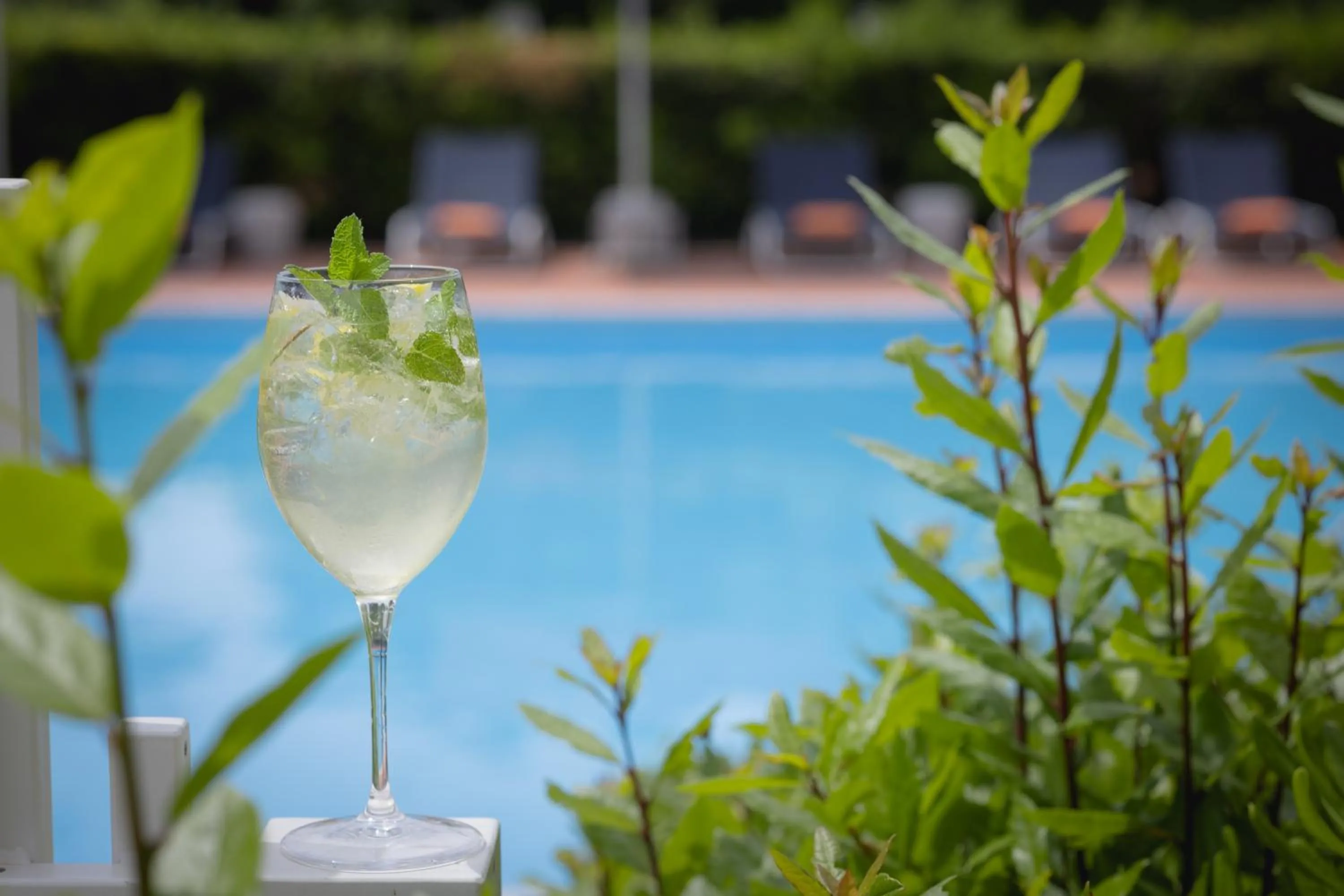 Drinks, Swimming Pool in UNAWAY Hotel Forte Dei Marmi