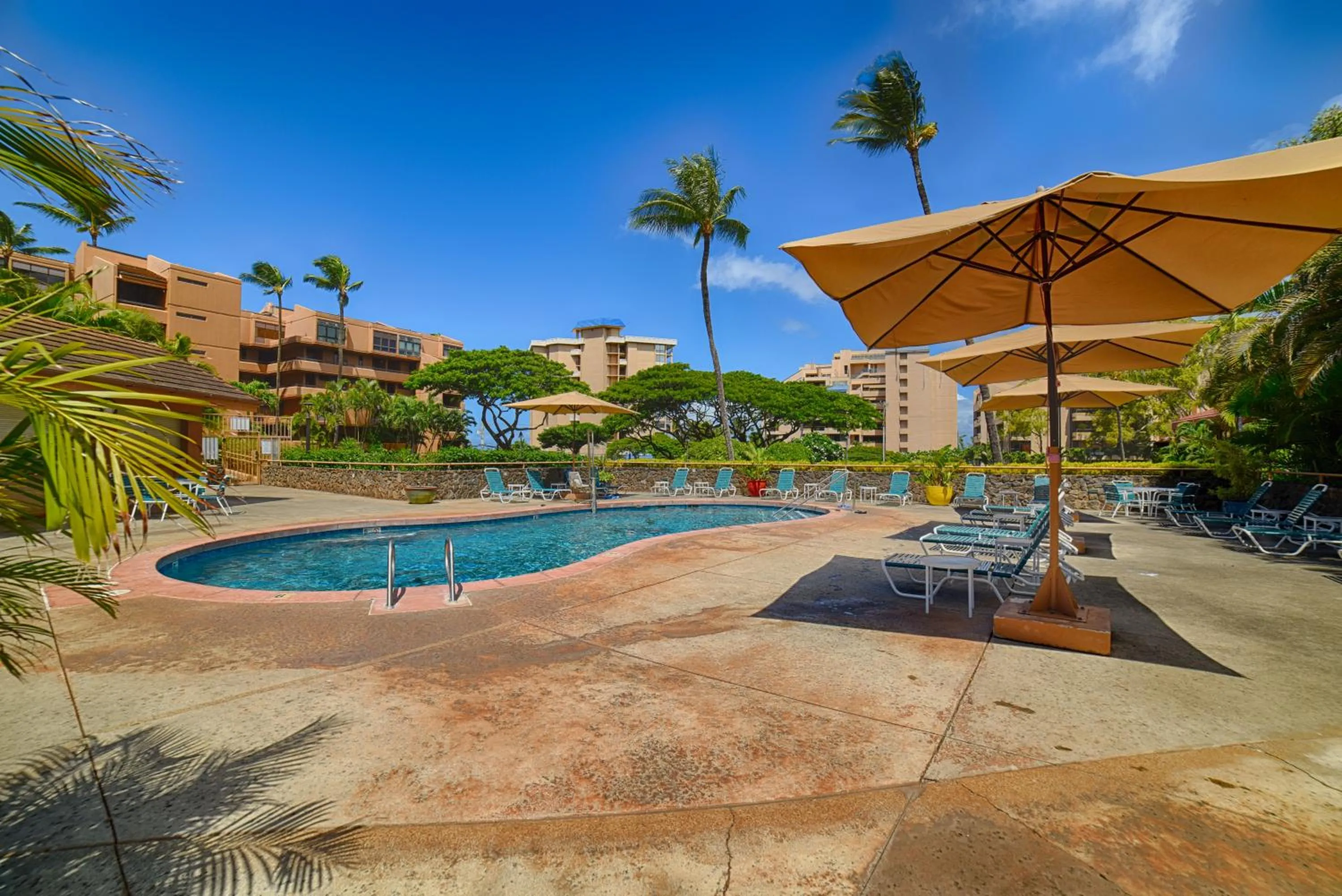 Swimming pool in Hale Mai Hopohopo