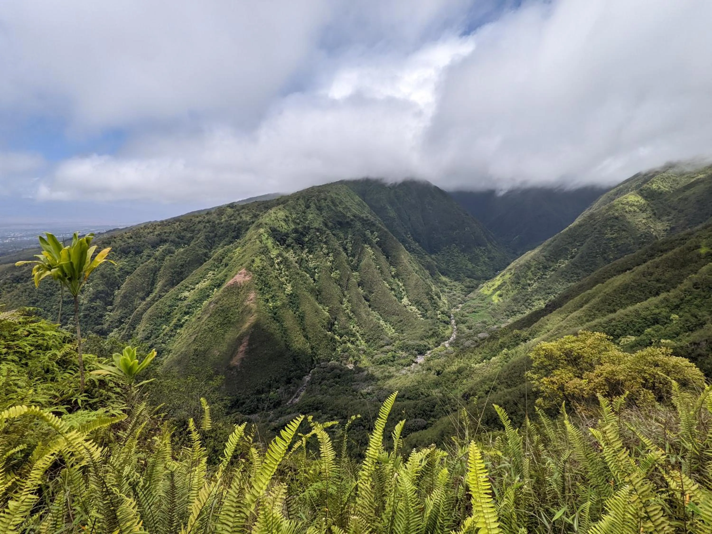 Natural landscape in Hale Mai Hopohopo