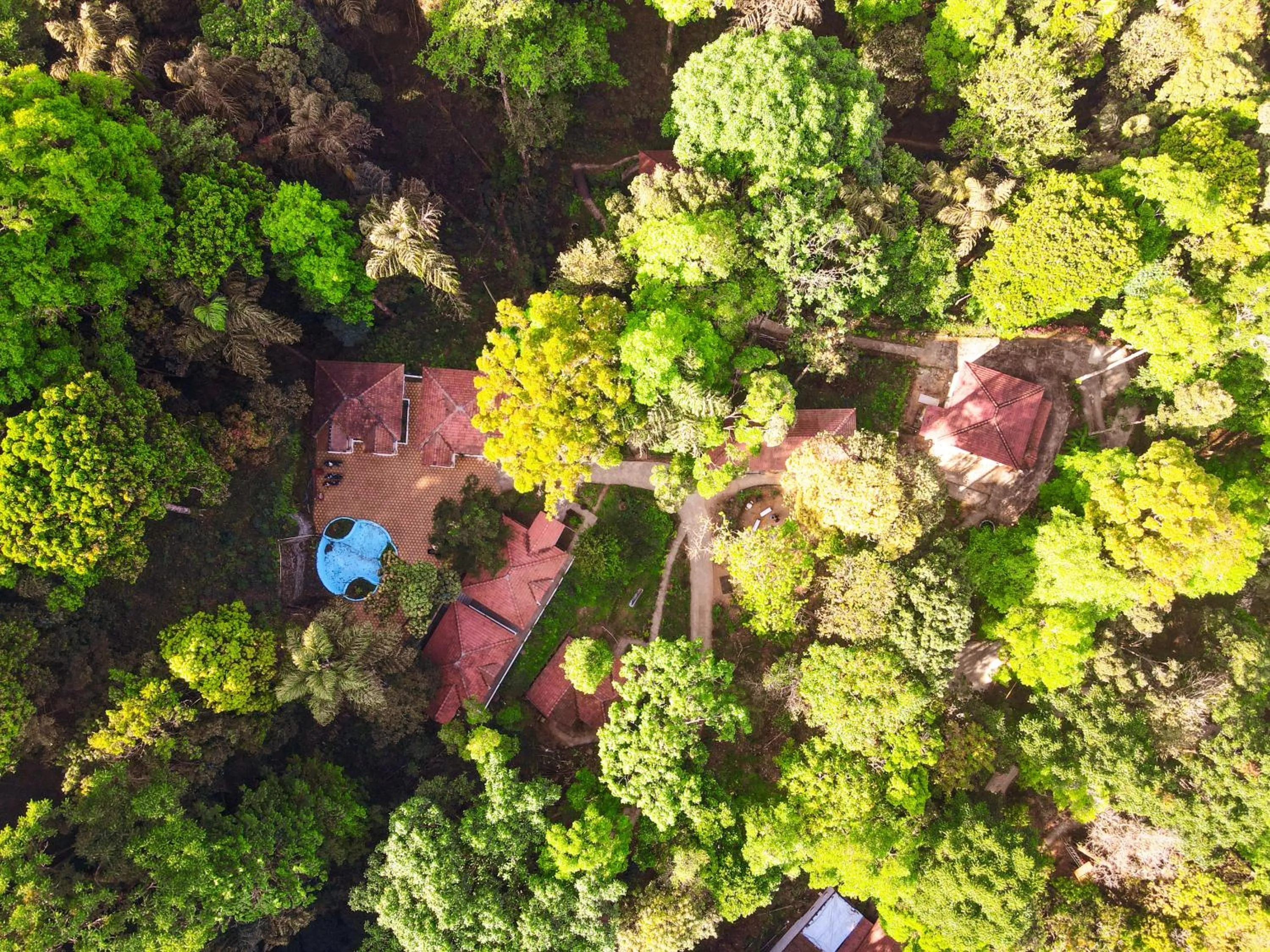 View (from property/room) in Qexperiences Coorg