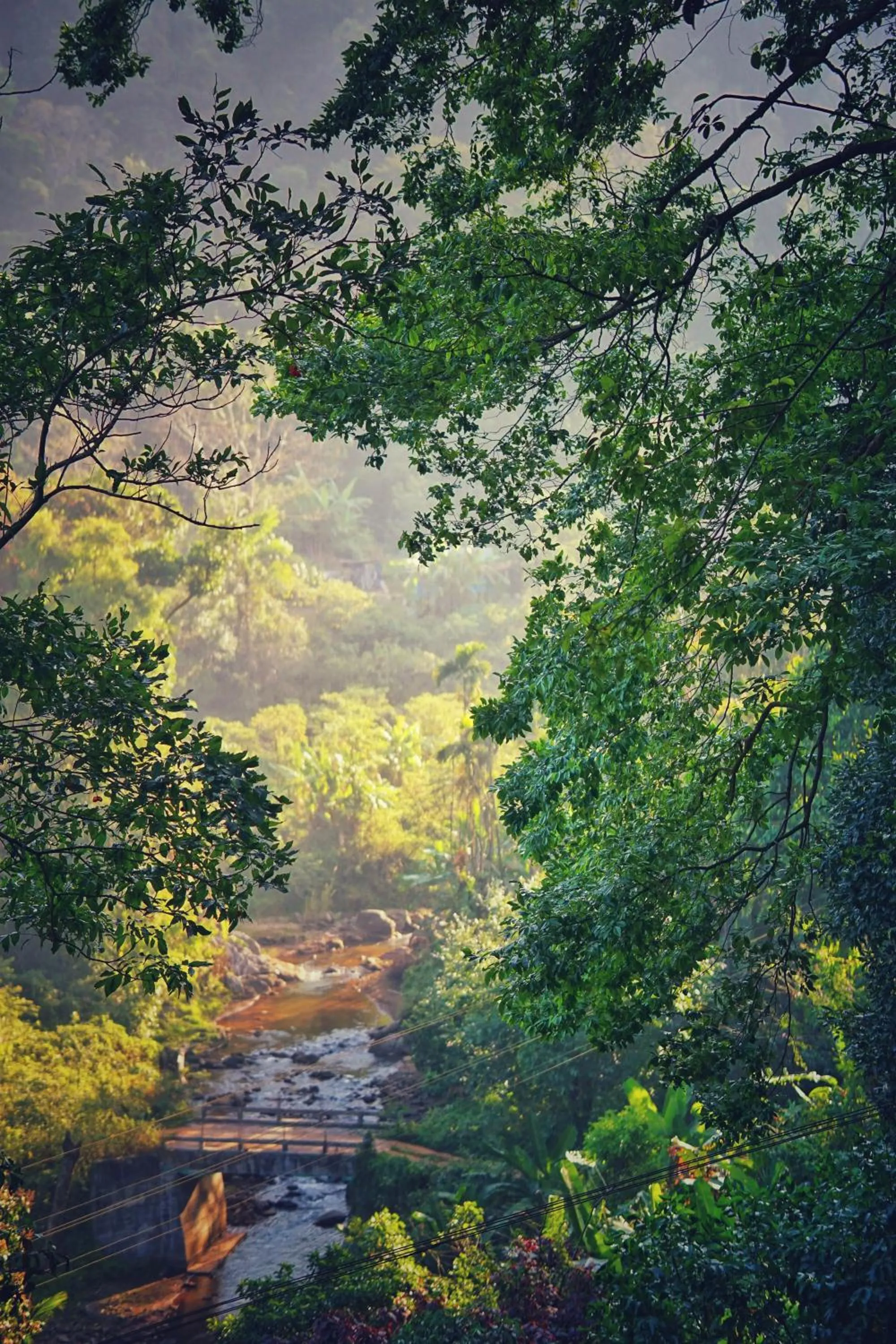 Lake view in Qexperiences Coorg