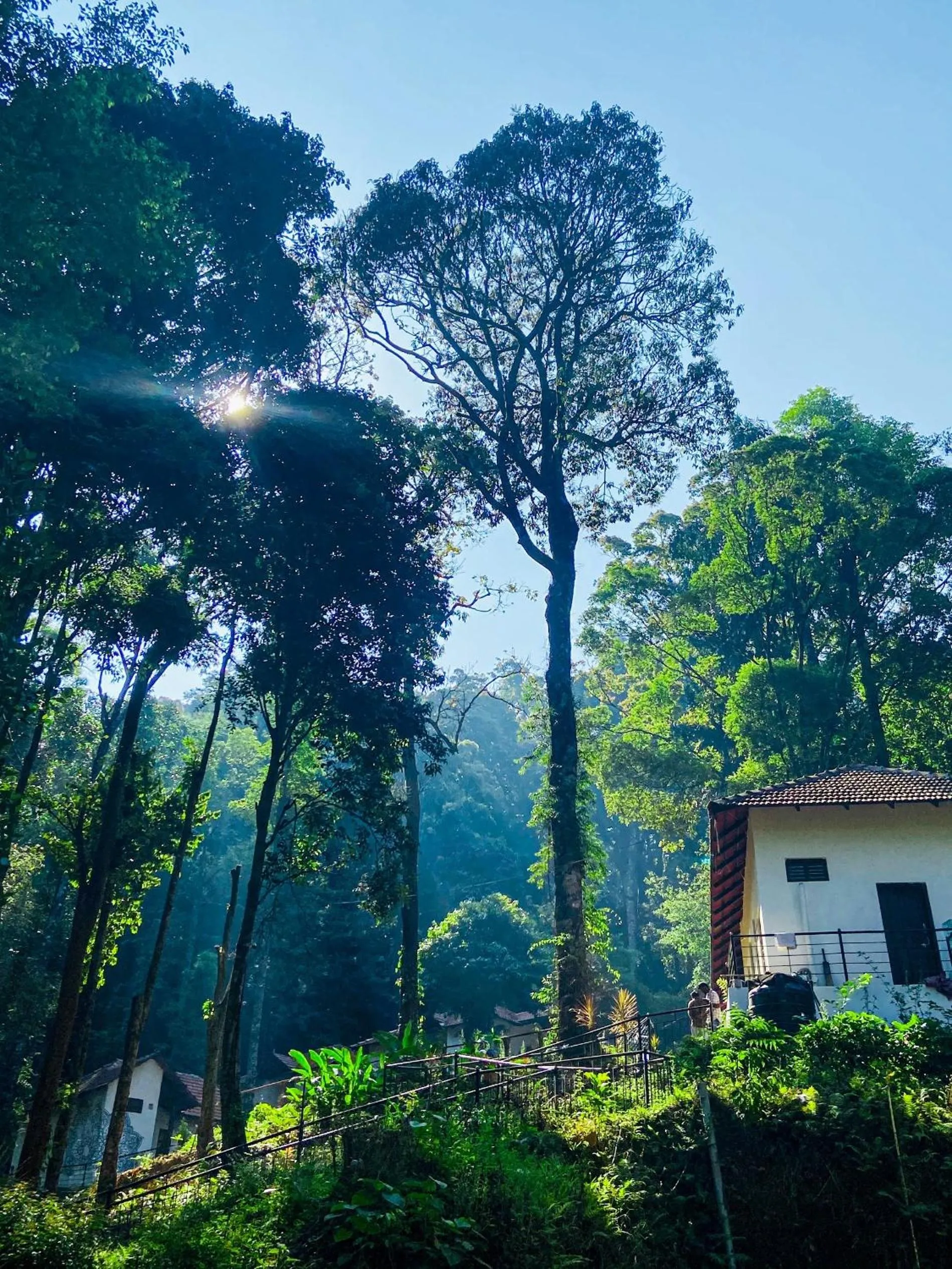 Garden view in Qexperiences Coorg