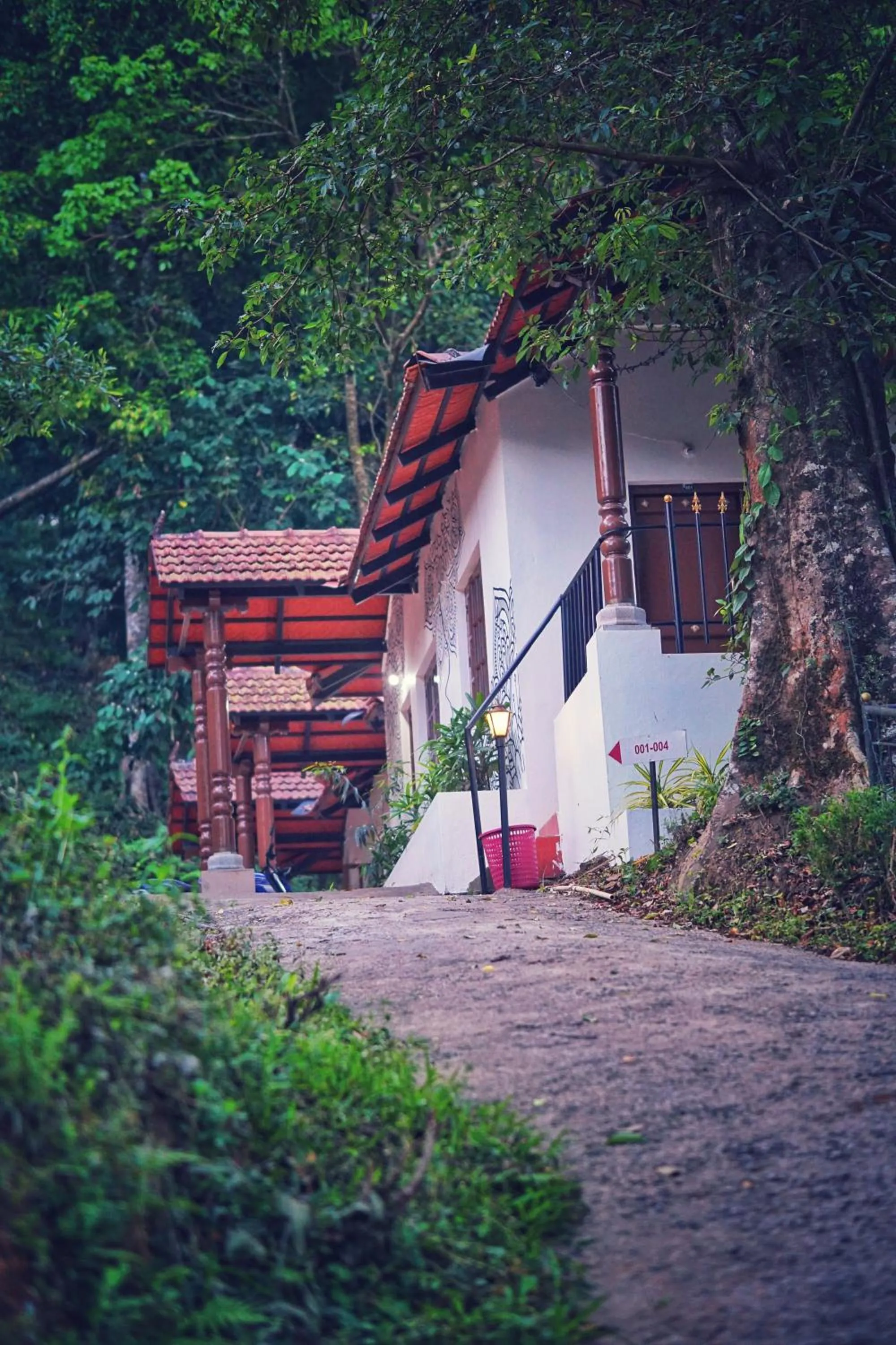 View (from property/room) in Qexperiences Coorg