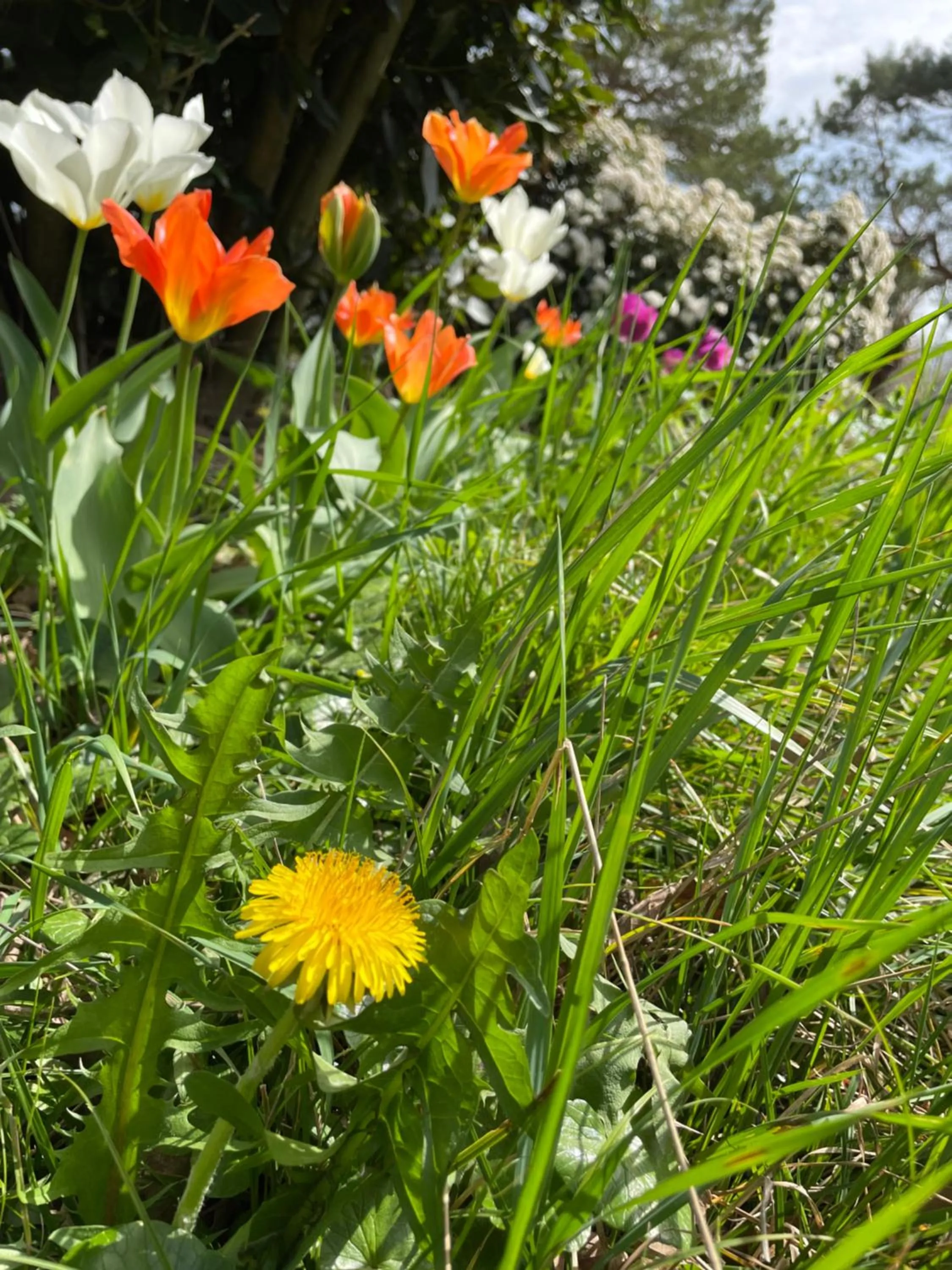 Chambre au Domaine Spa-piscine sauna