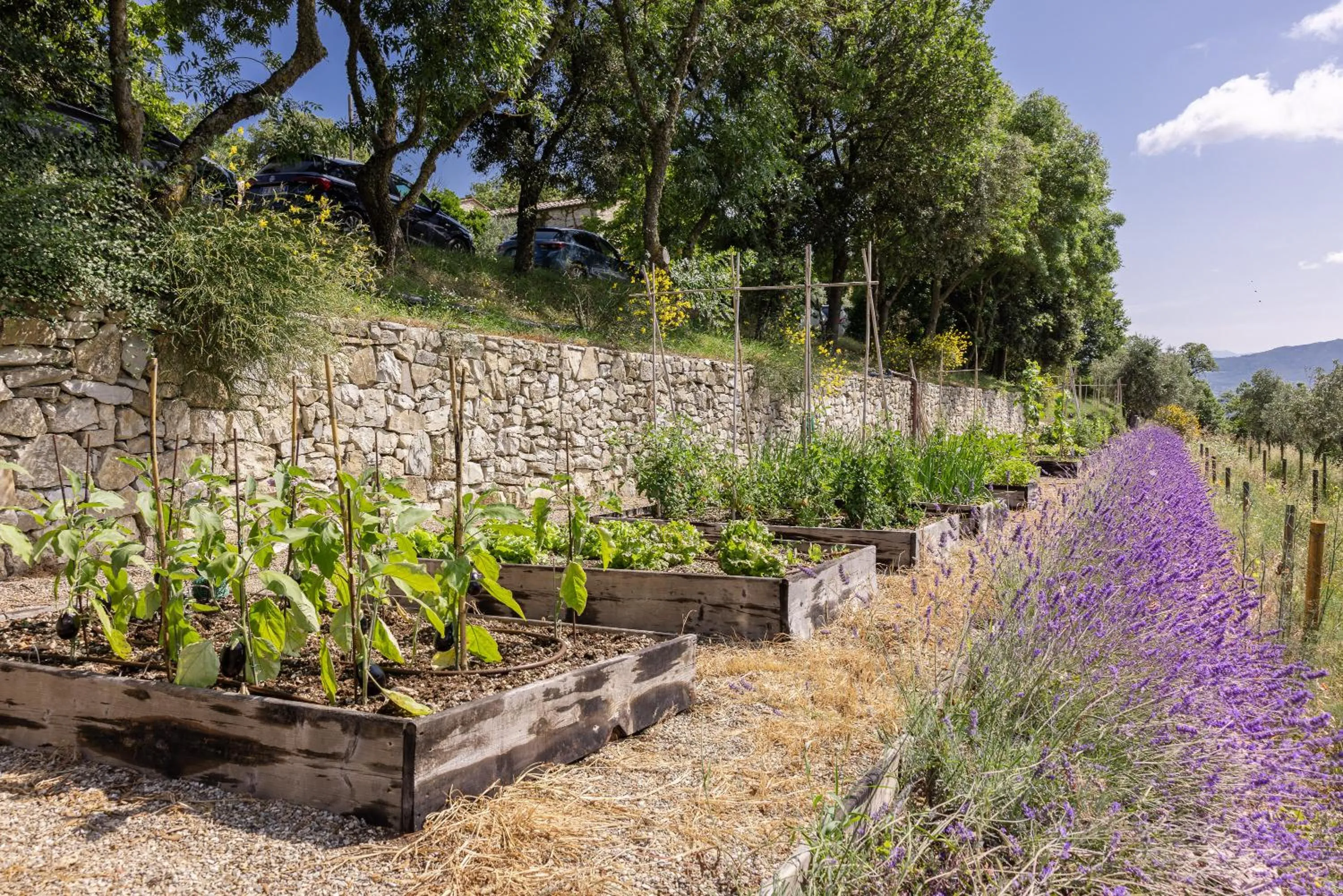 Spring in Borgo Vescine