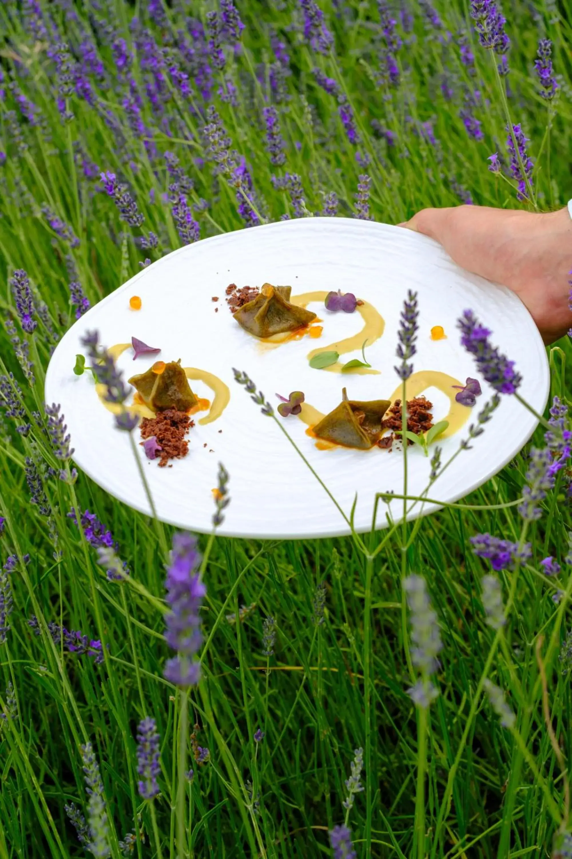 Food and drinks in Borgo Vescine Food and drinks in Borgo Vescine