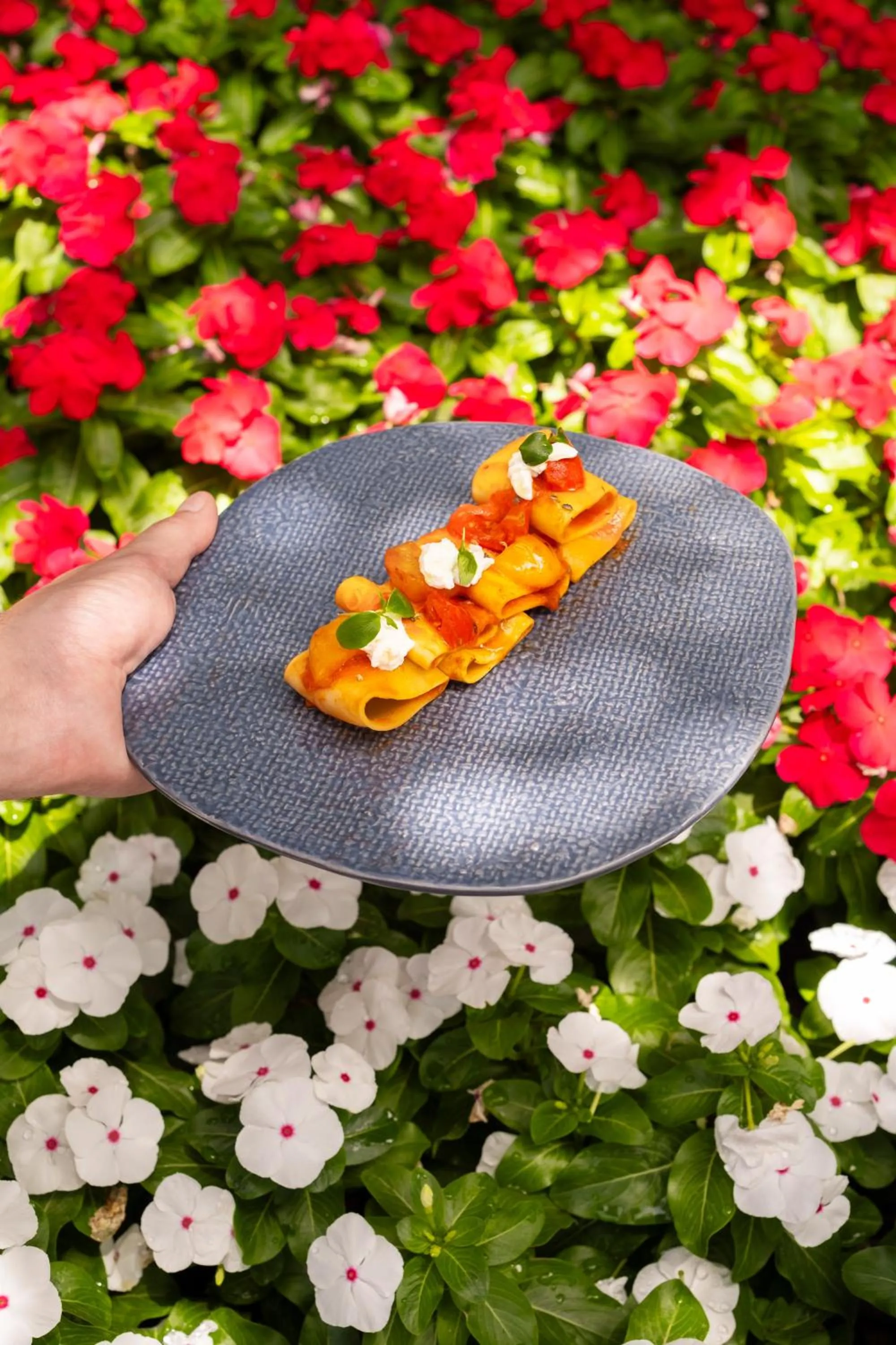 Spring in Borgo Vescine