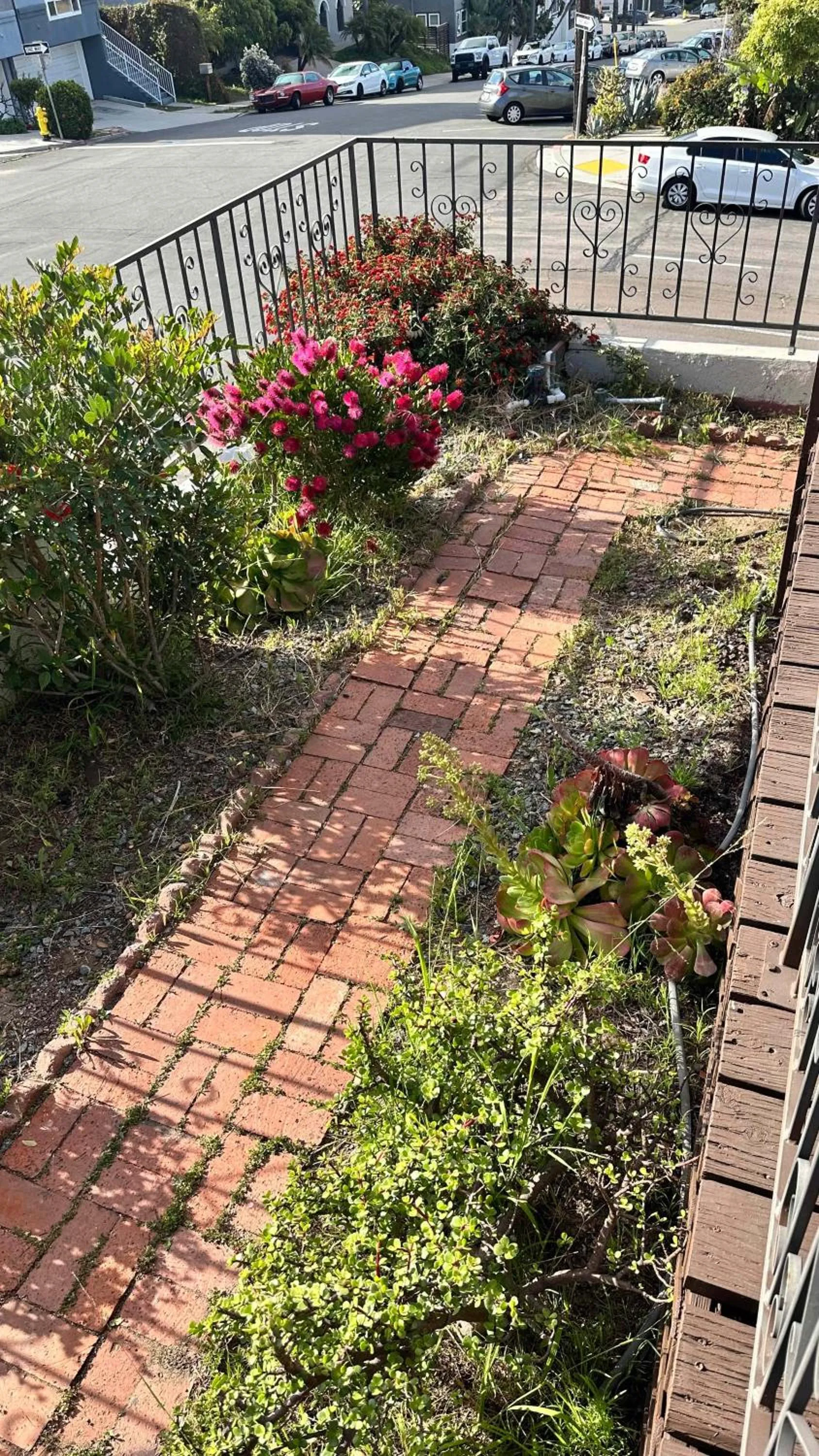 Big Studio with Ocean View max 6 sleepers