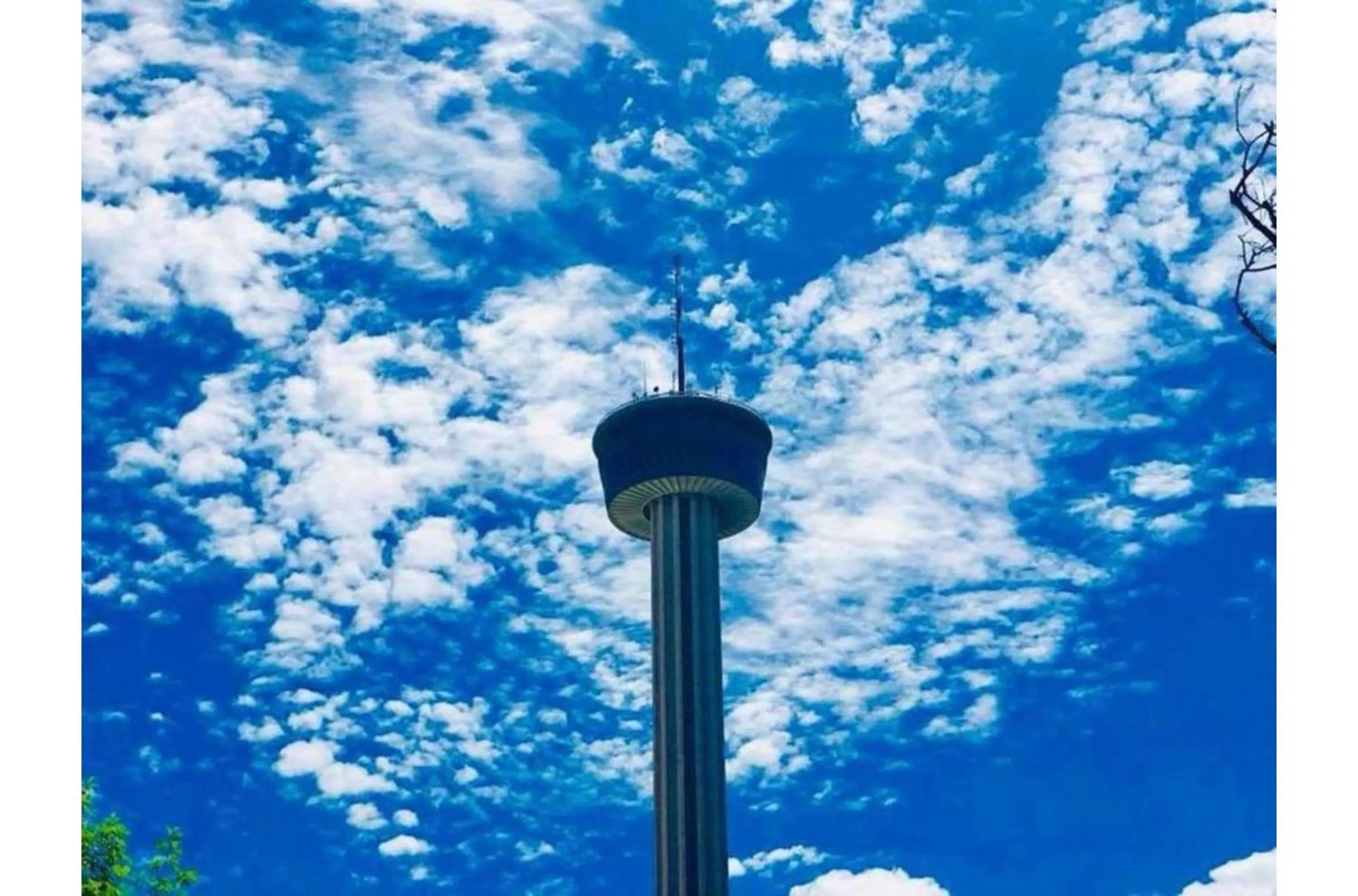 Other in Amazing Fully Fenced Home Only 5 Mins from Downtown