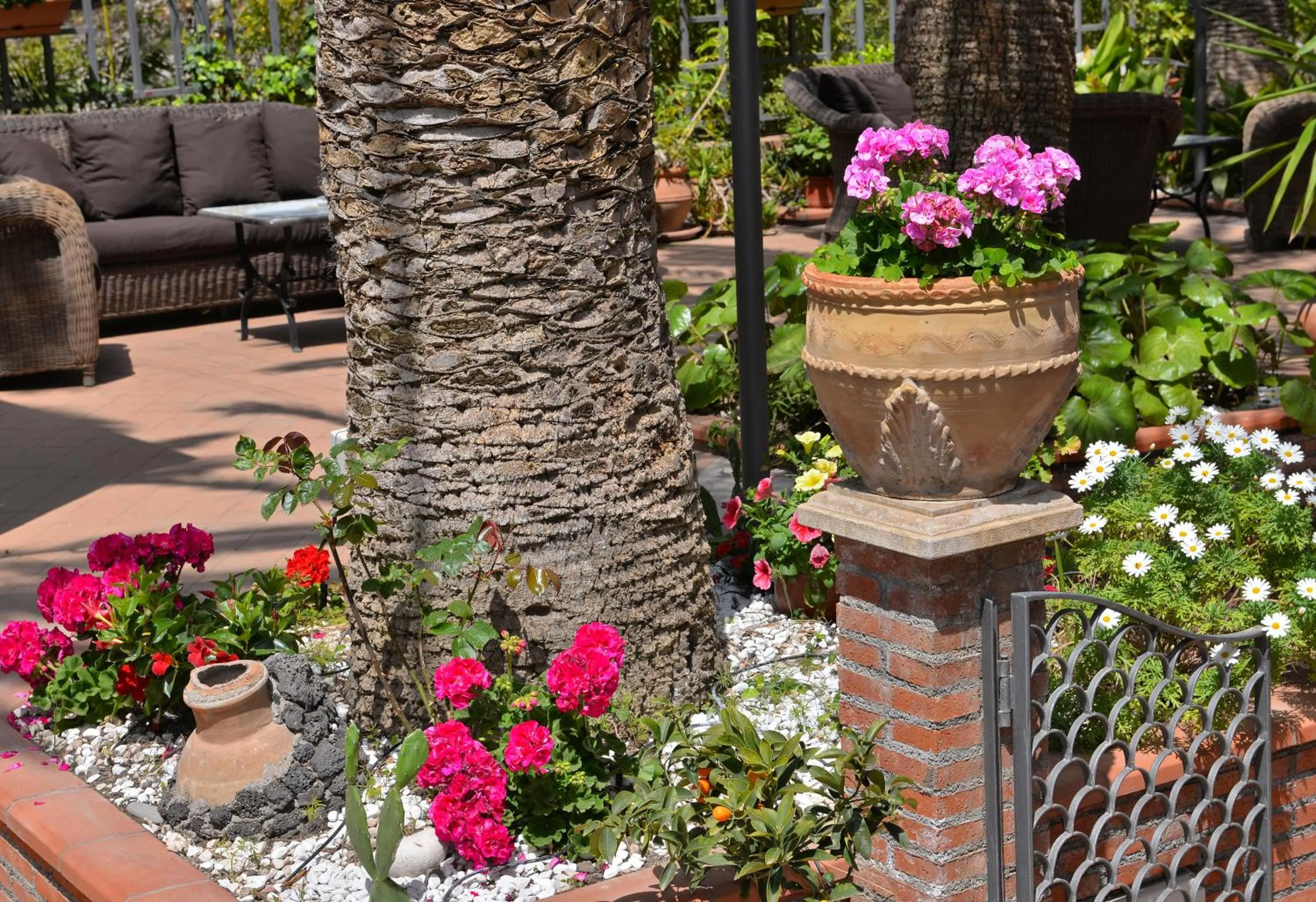 Hotel "La Pensione Svizzera"