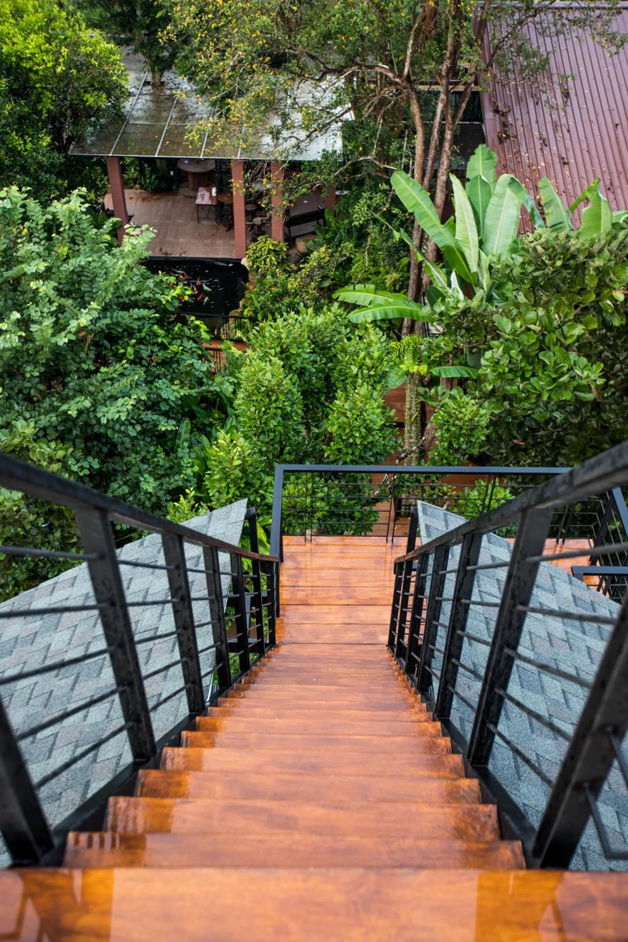 Area and facilities in The Chamuang Forest