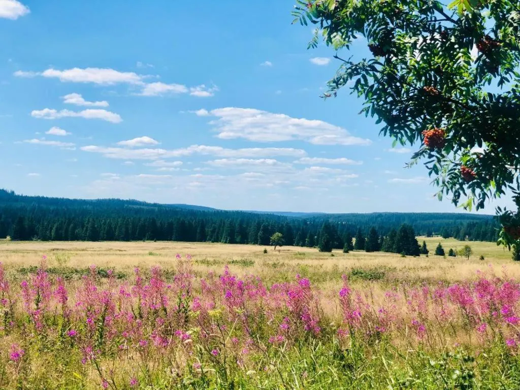 Natural landscape in Apartmán U Tří smrků