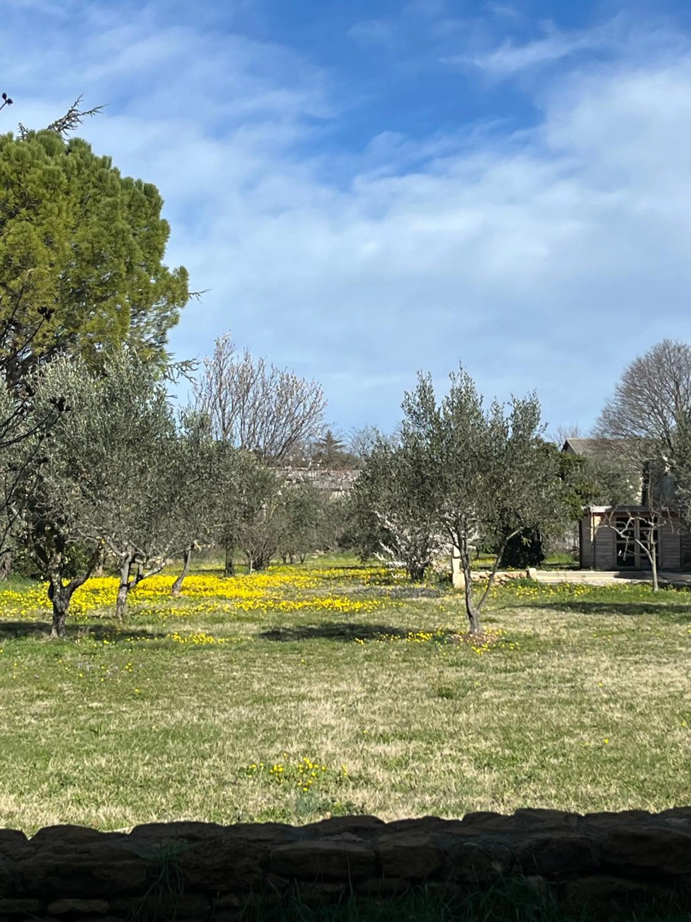 Garden view in le Nomade en Provence