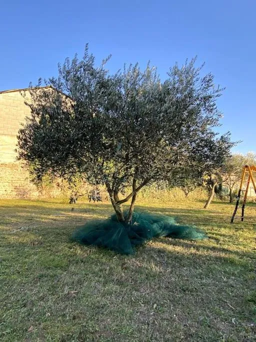 le Nomade en Provence