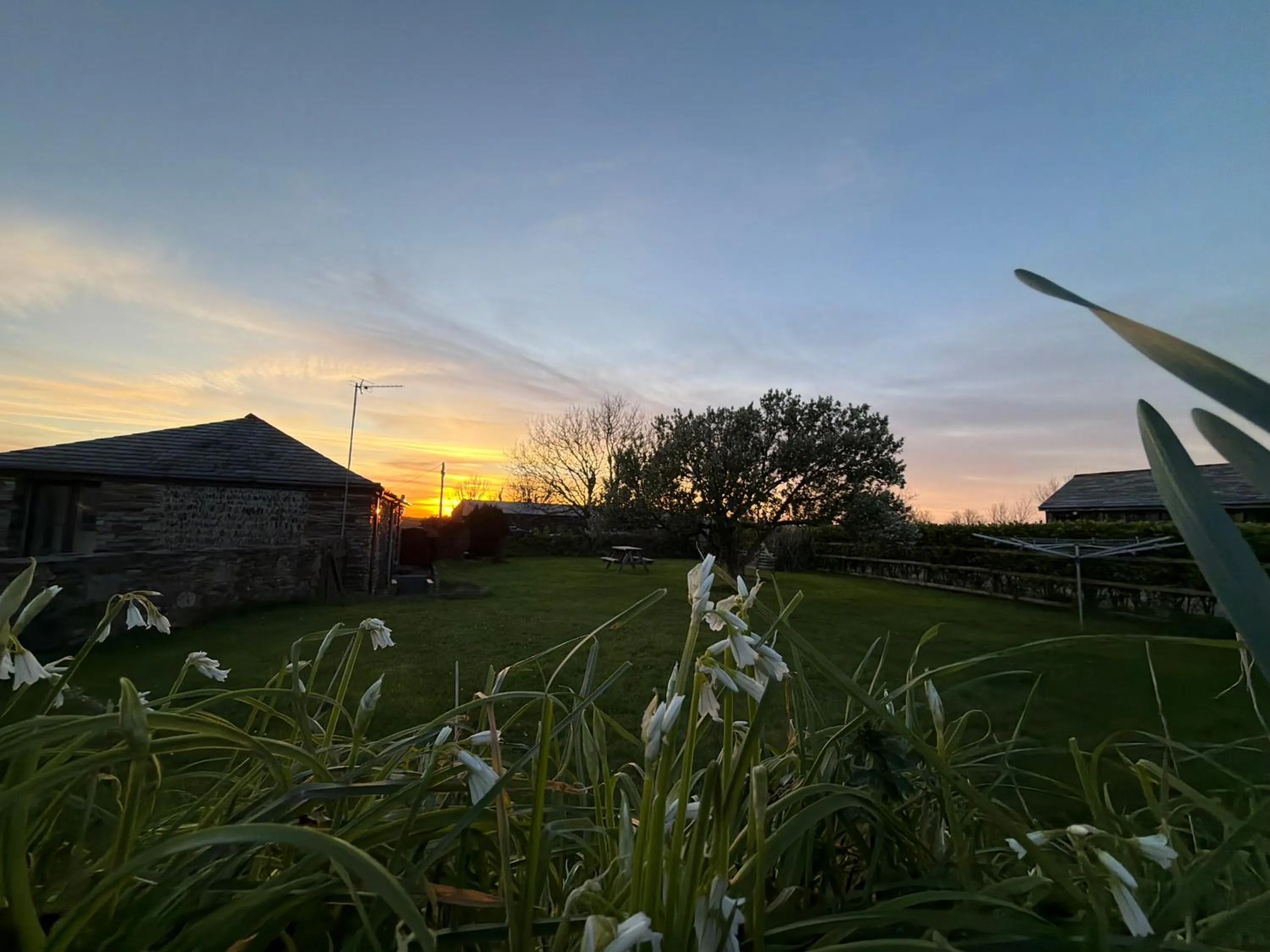 Garden view in The Barn-family getaway - Nr Port Isaac