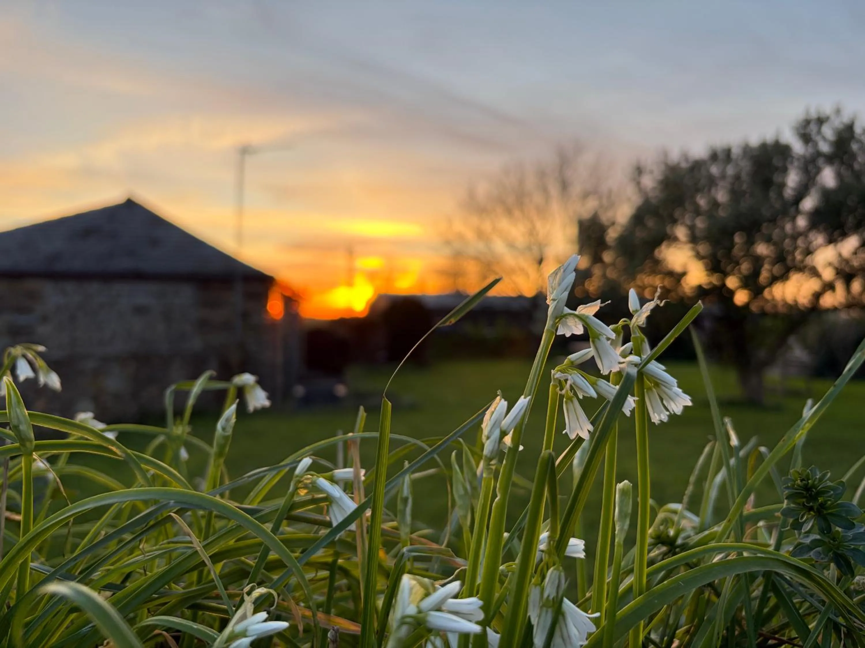 Garden view in The Barn-family getaway - Nr Port Isaac
