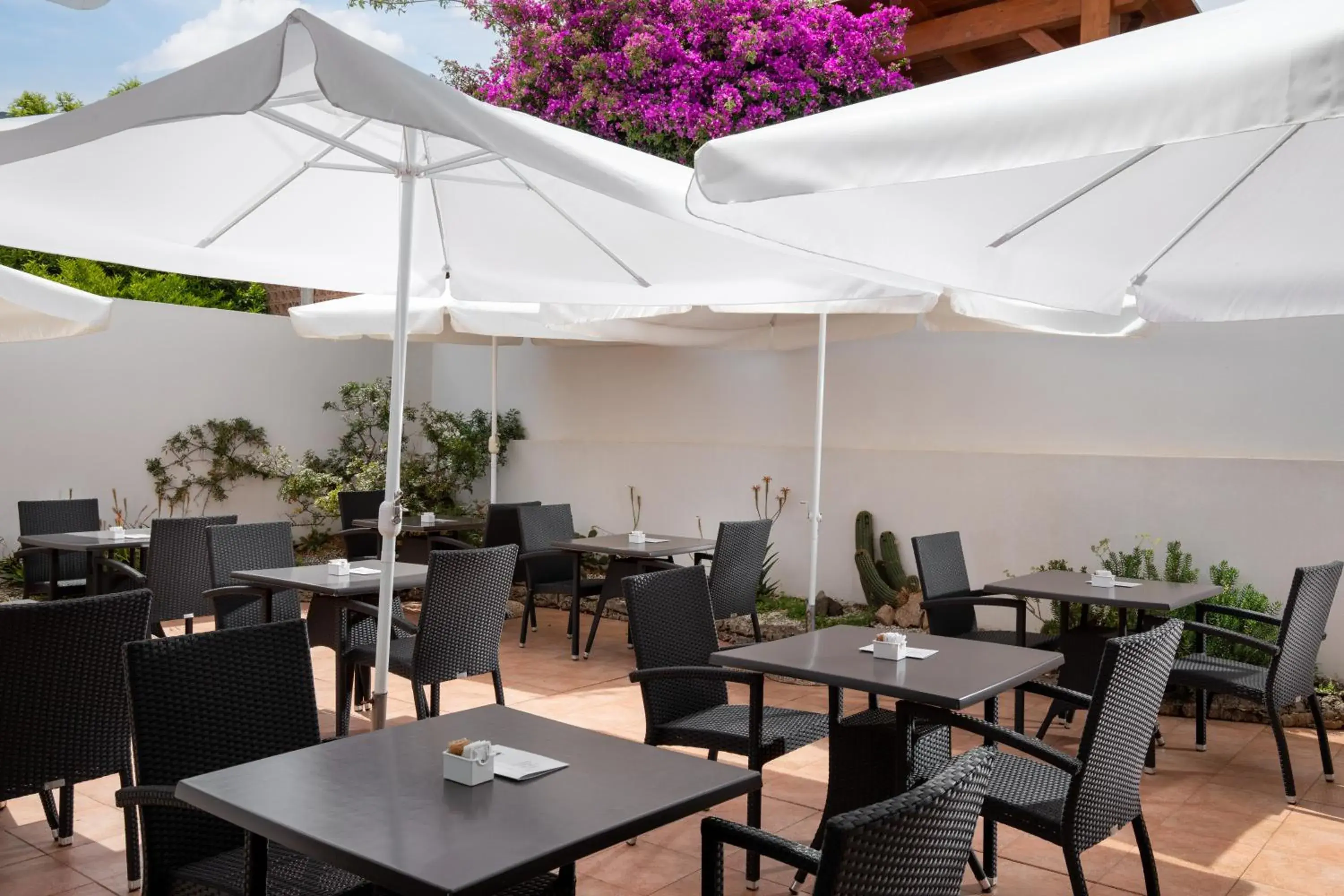 Breakfast in Hotel Rosa dei Venti Breakfast in Hotel Rosa dei Venti