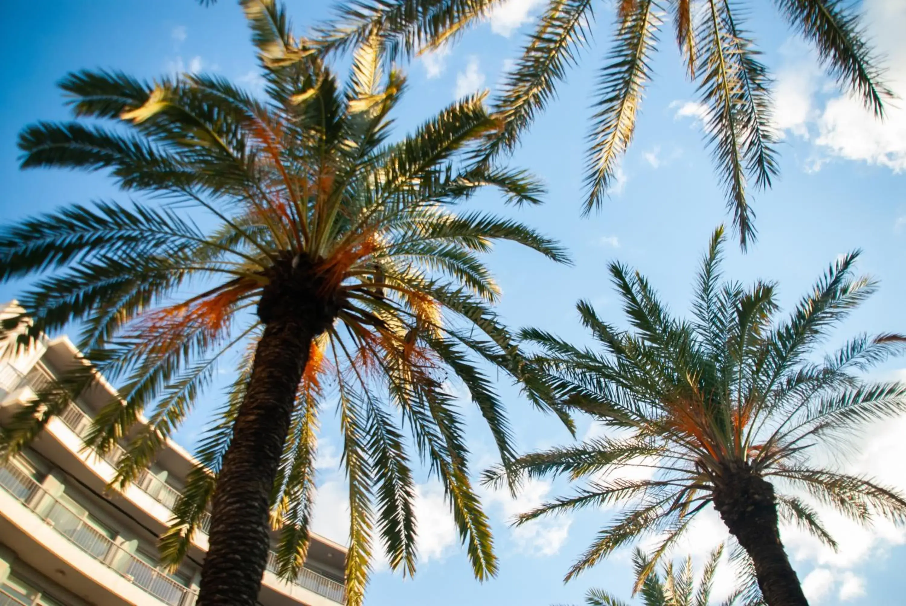 Property building in STAY Rhodes Hotel Property building in STAY Rhodes Hotel