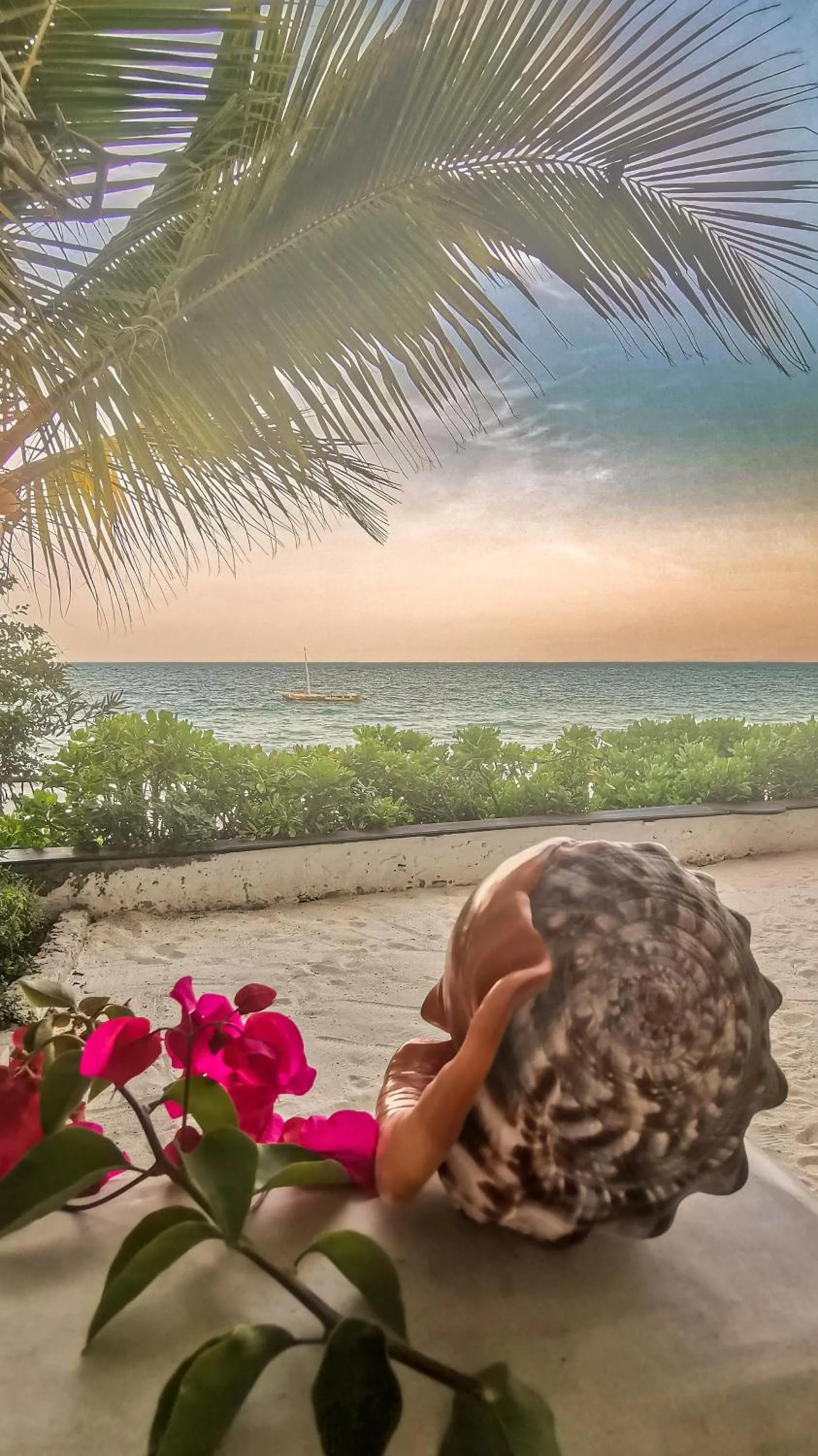 View (from property/room) in Villa Malaika