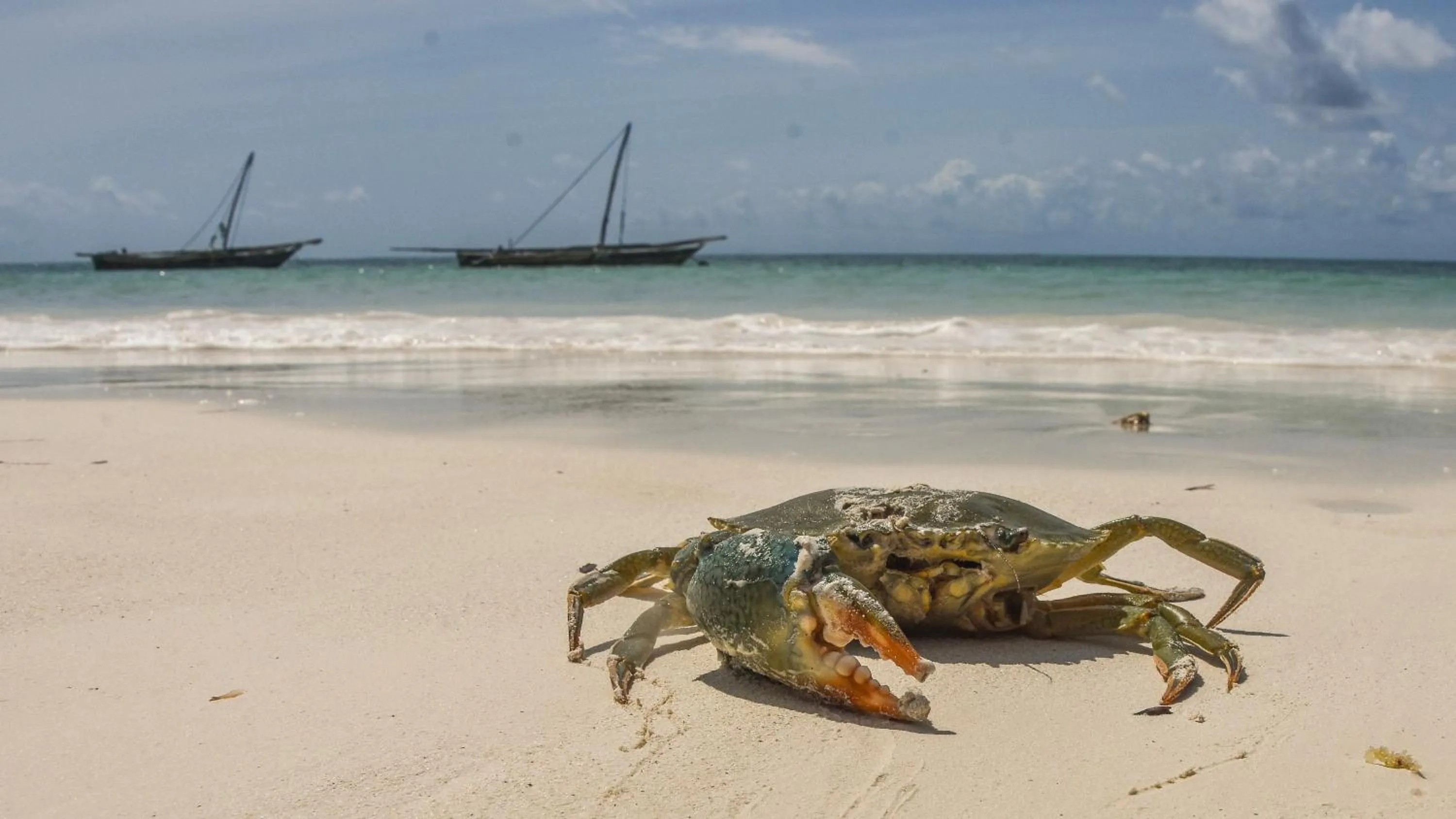 Beach in Villa Malaika