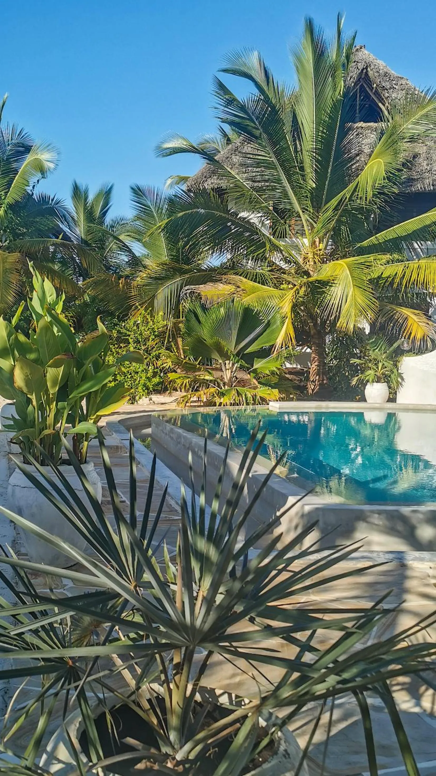 Property building in Villa Malaika