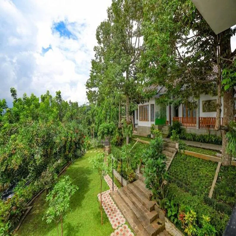 Garden in Guest House Gethsemane