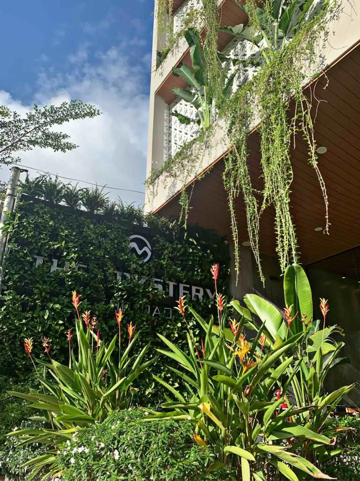 Property logo or sign in The Mystery Con Dao