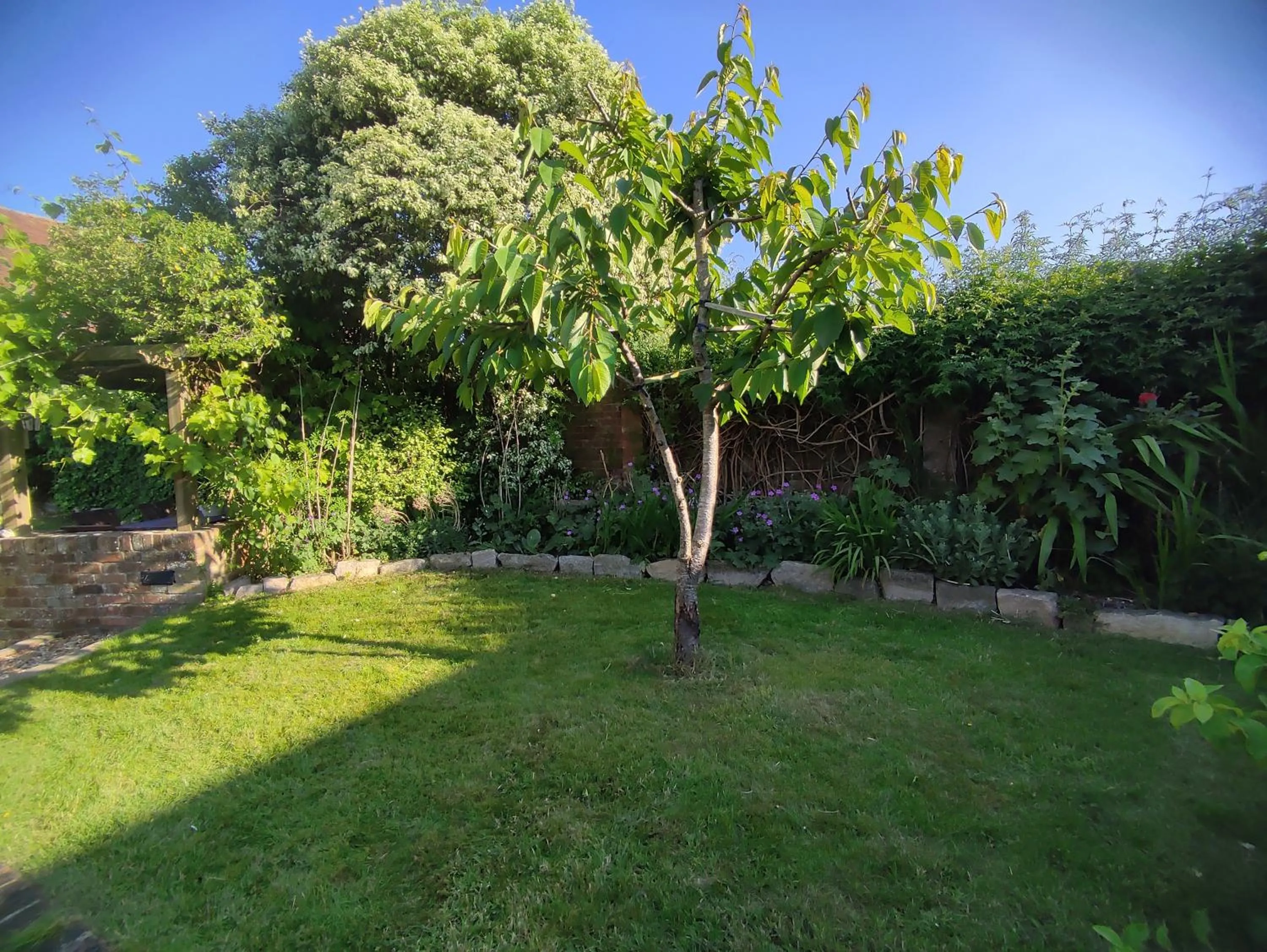 Garden in The Cheesehouse - Seven ensuite bedrooms
