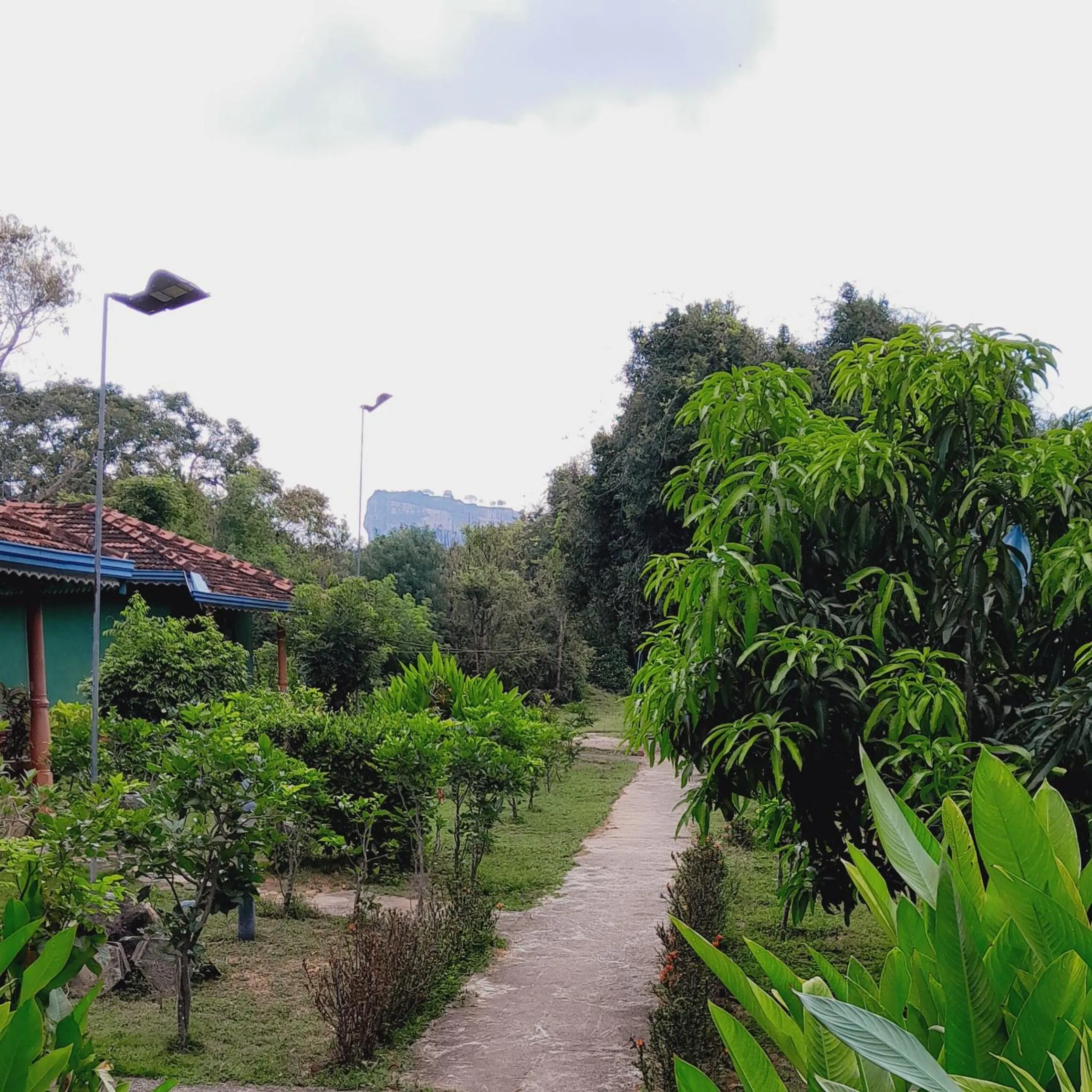 Sigiriya Melrose Villas