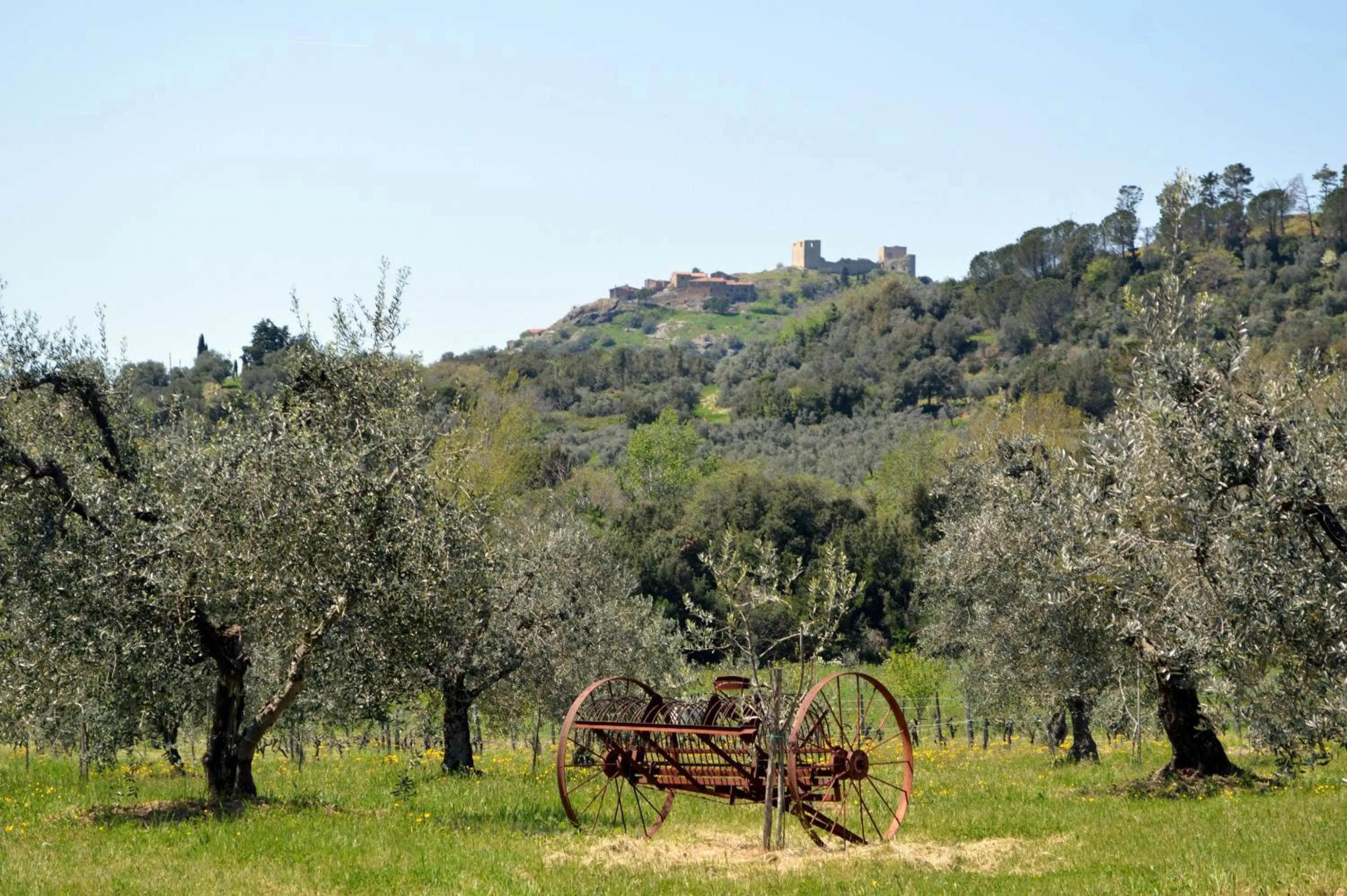 Area and facilities in Country House il Ciliegio