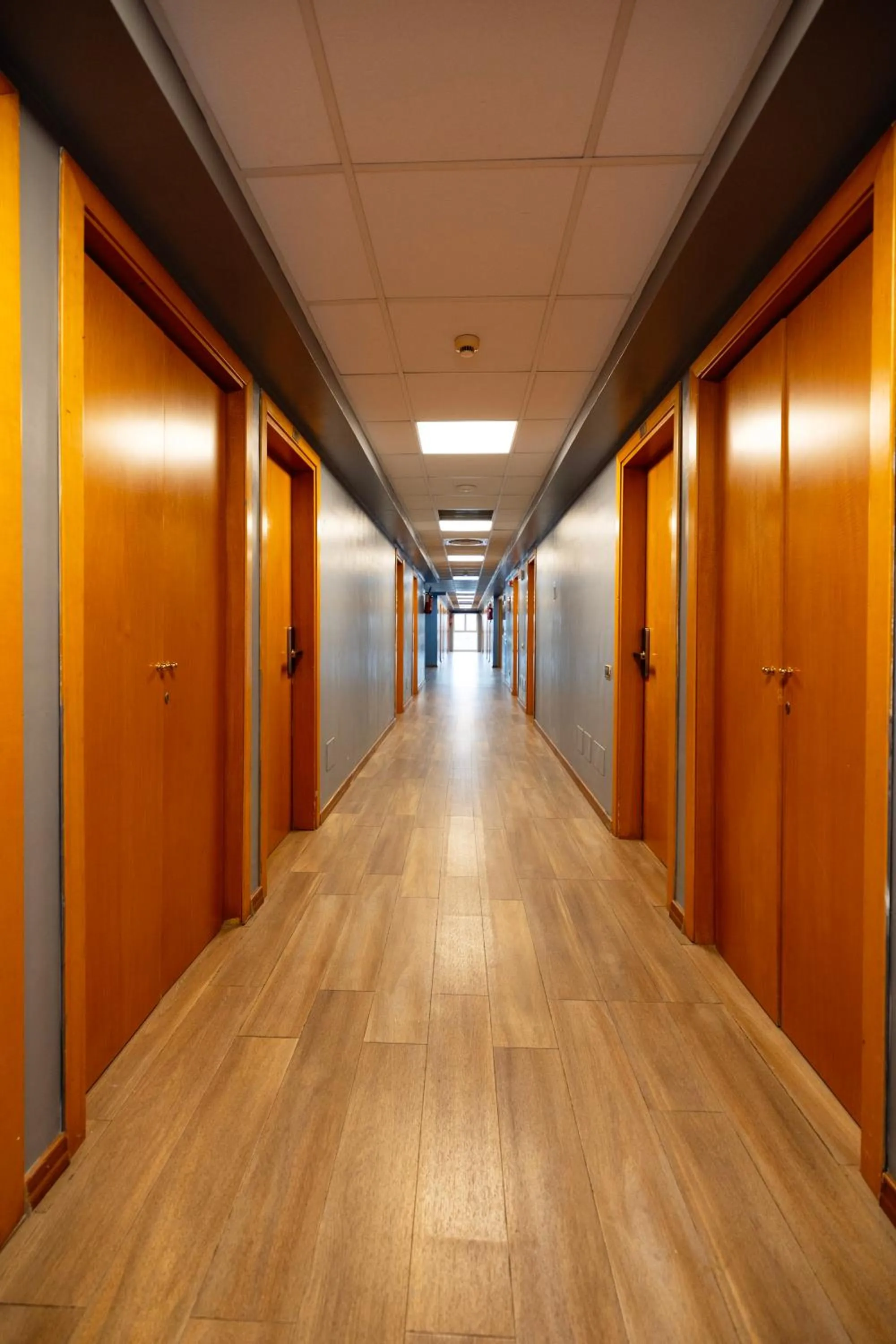 Other in Scheppers Hotel