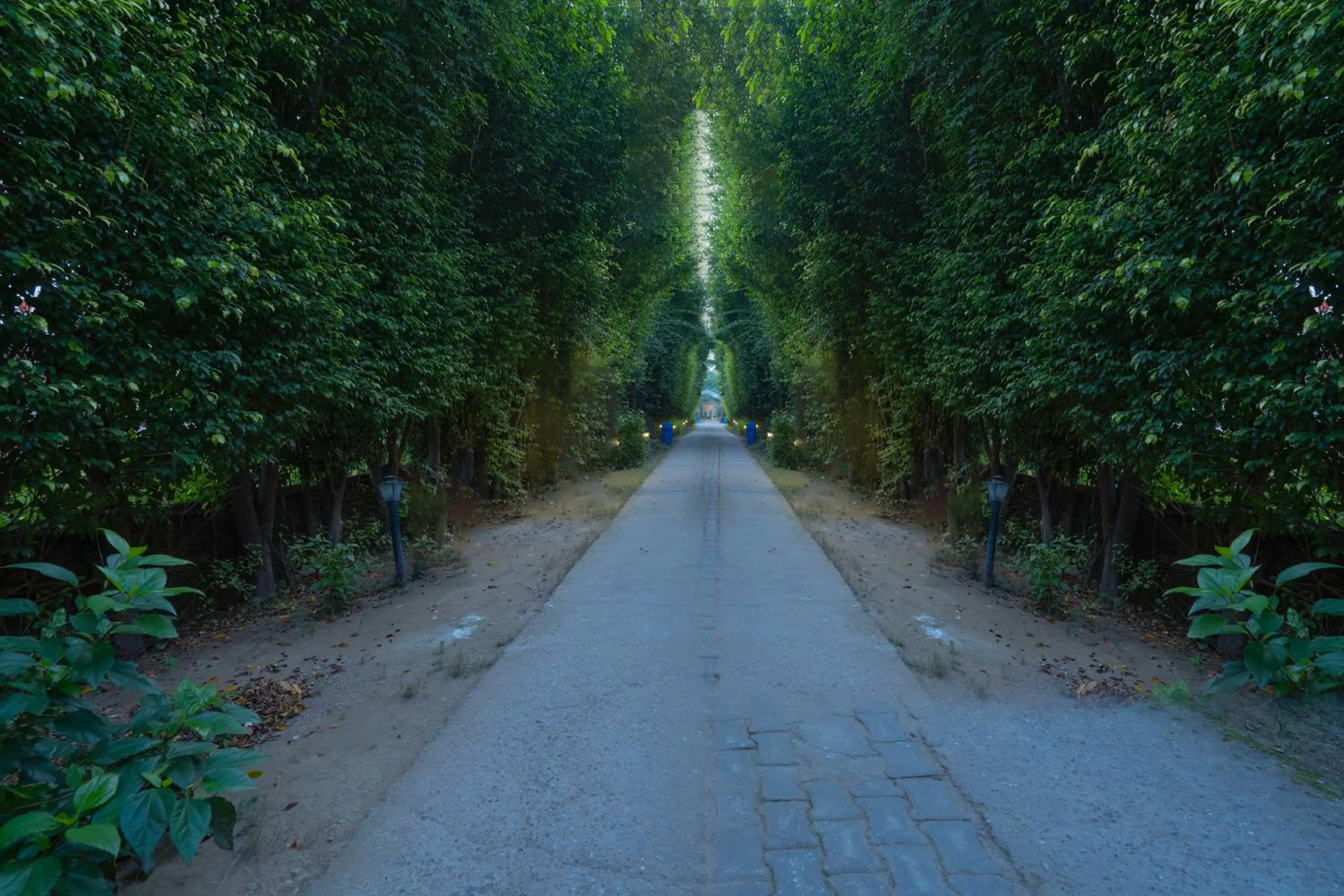 View (from property/room) in The Tattwaa Corbett Spa and Resort