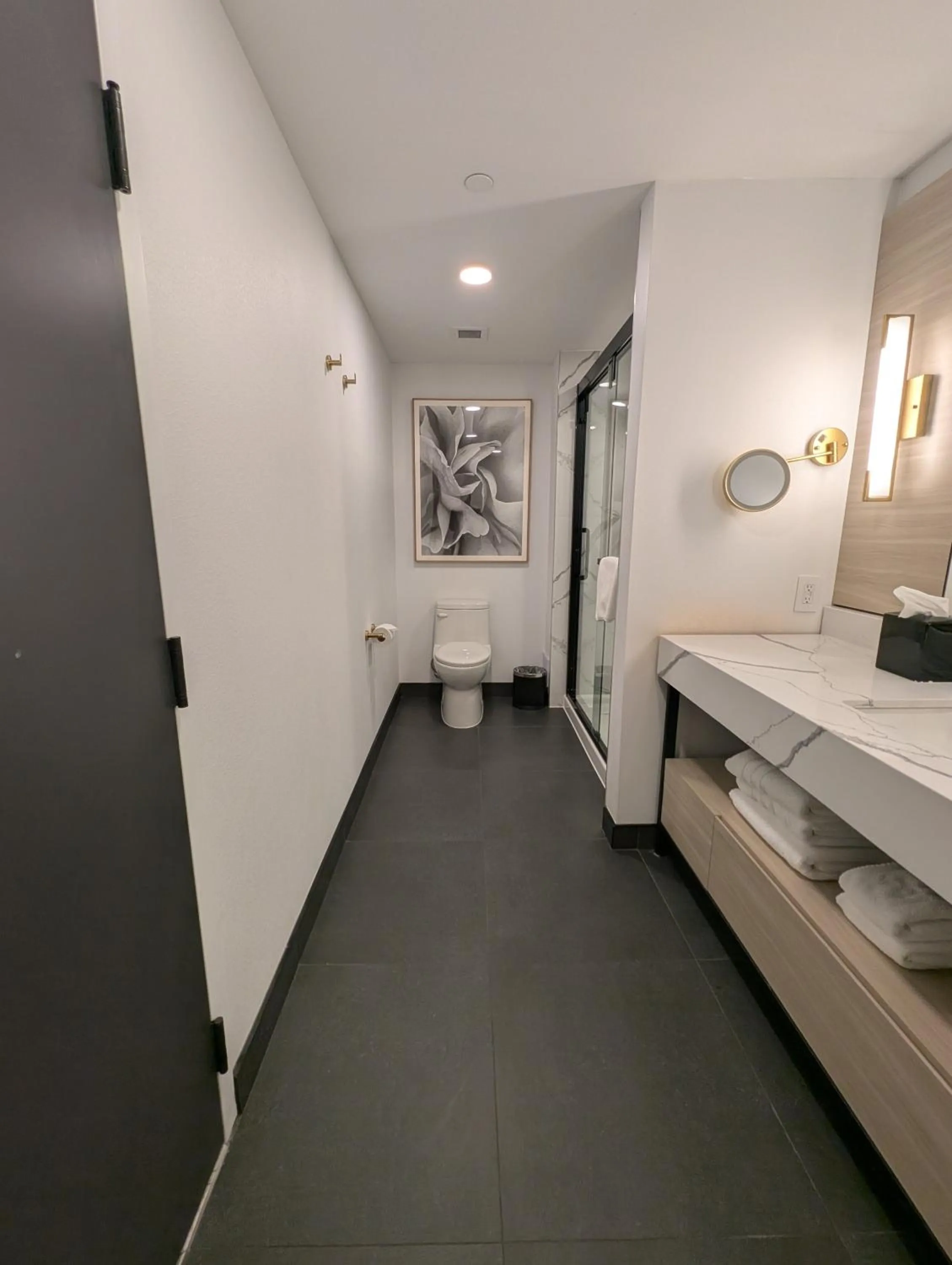 Shower in Bloom Mississauga, Tapestry Collection By Hilton