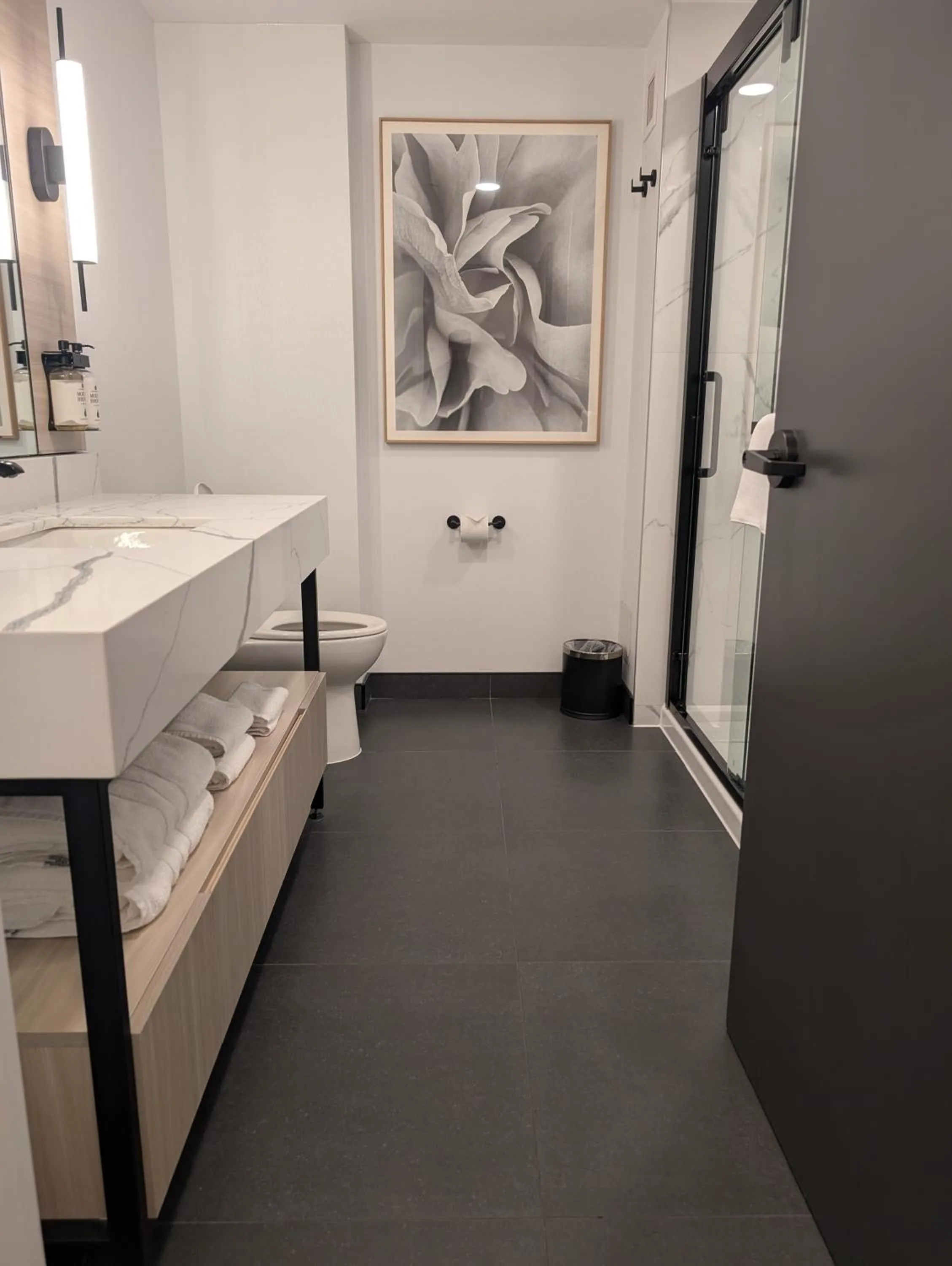 Shower, Bed in Bloom Mississauga, Tapestry Collection By Hilton