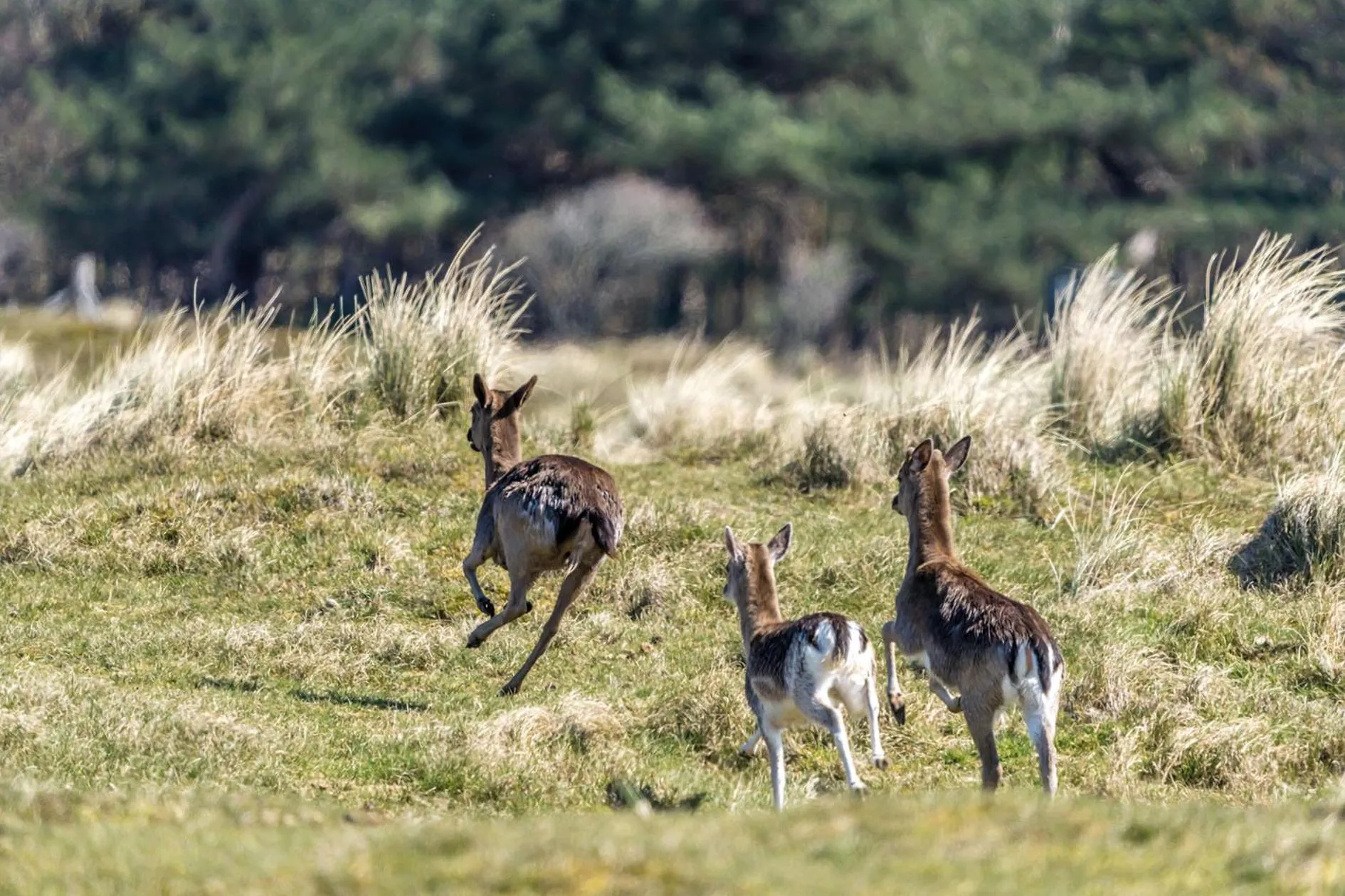 Other in Boutique Hotel Helder I Kloeg Collection