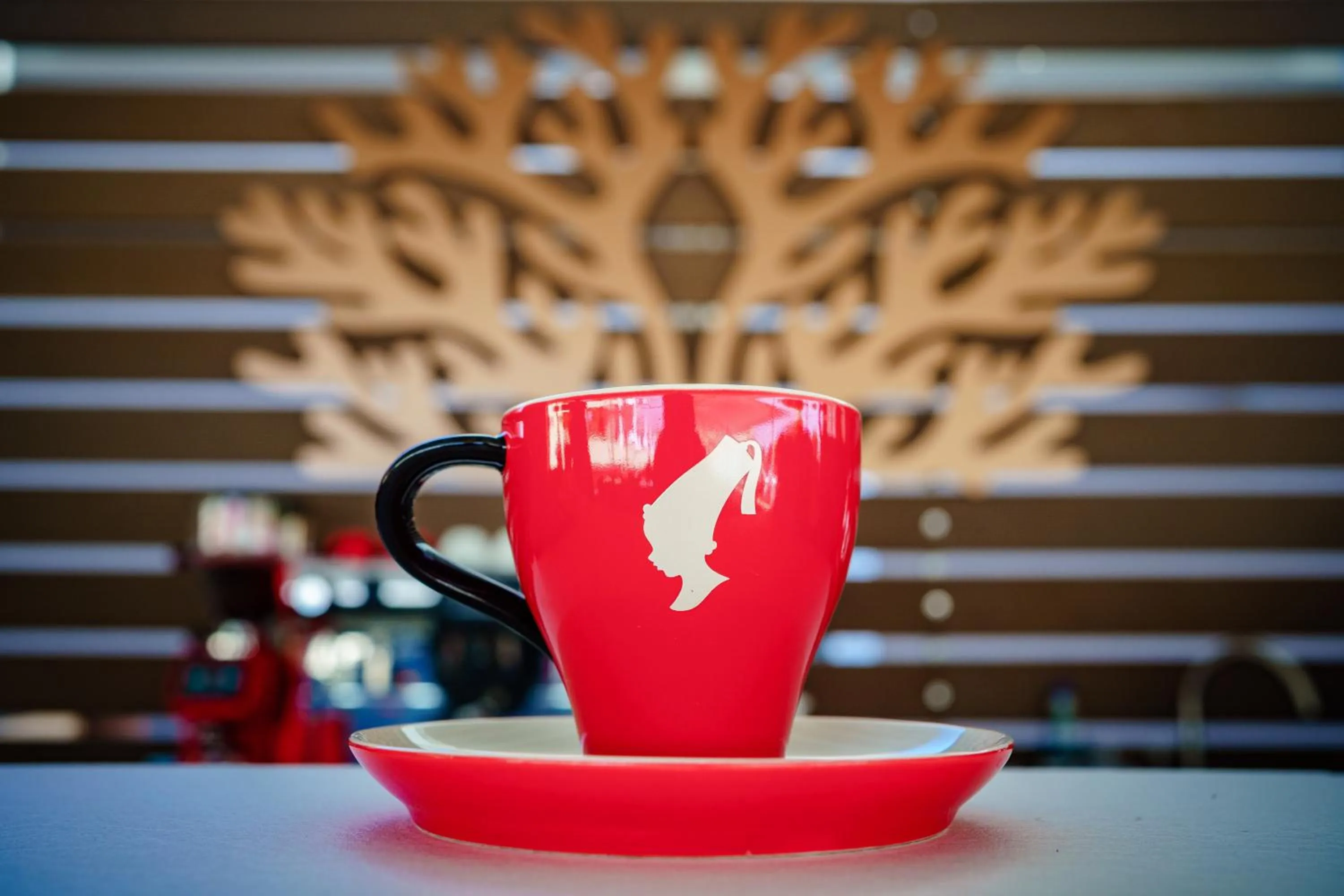 Drinks in Bacolux Koralio, Eforie Nord