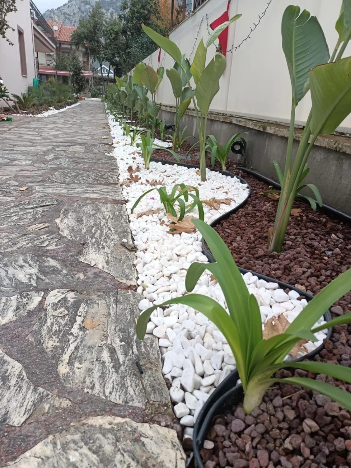 Day in Vira Suites Hotel