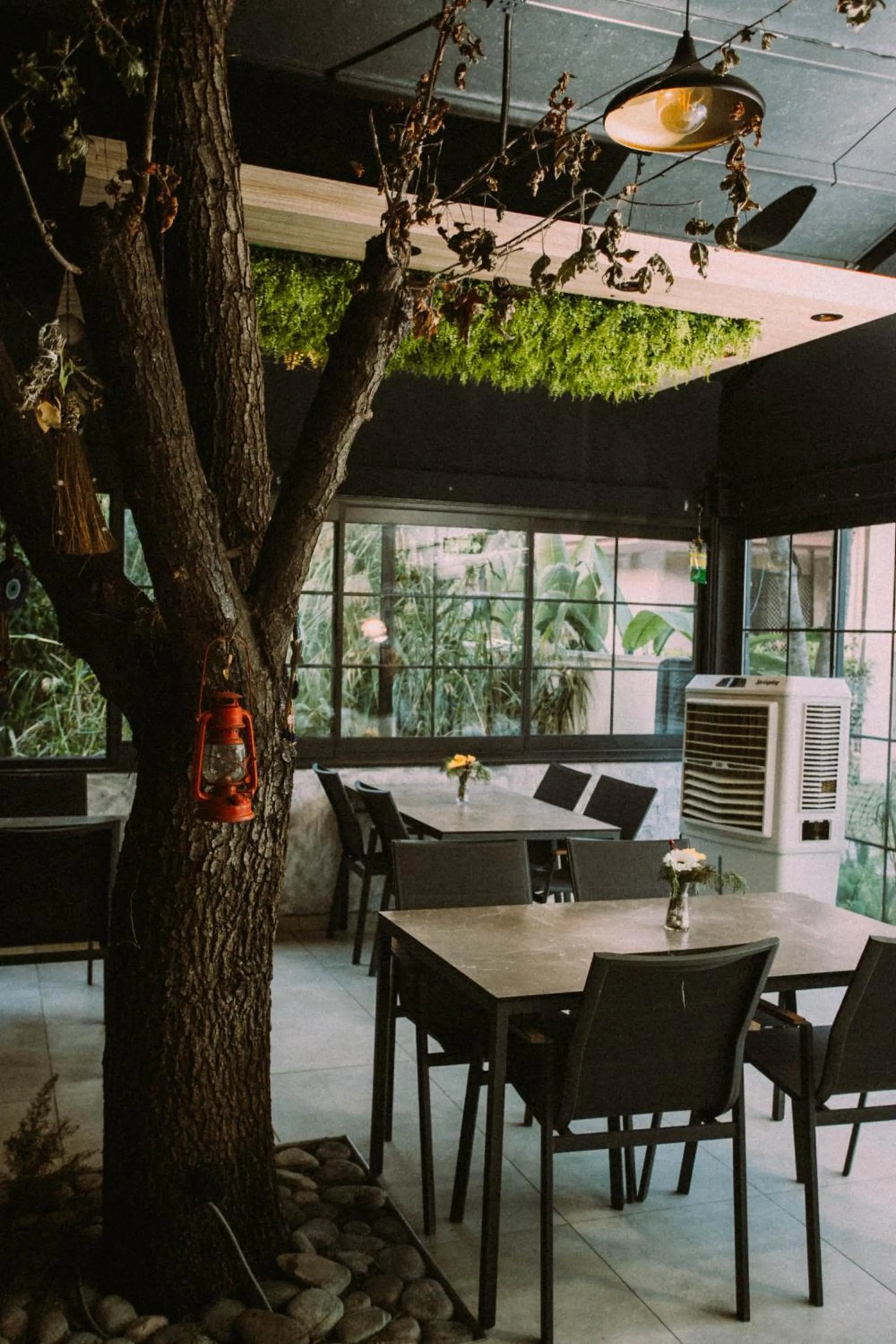 Restaurant/places to eat in Vira Suites Hotel